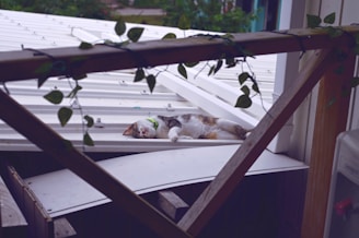 A cat sleeps on a white roof.