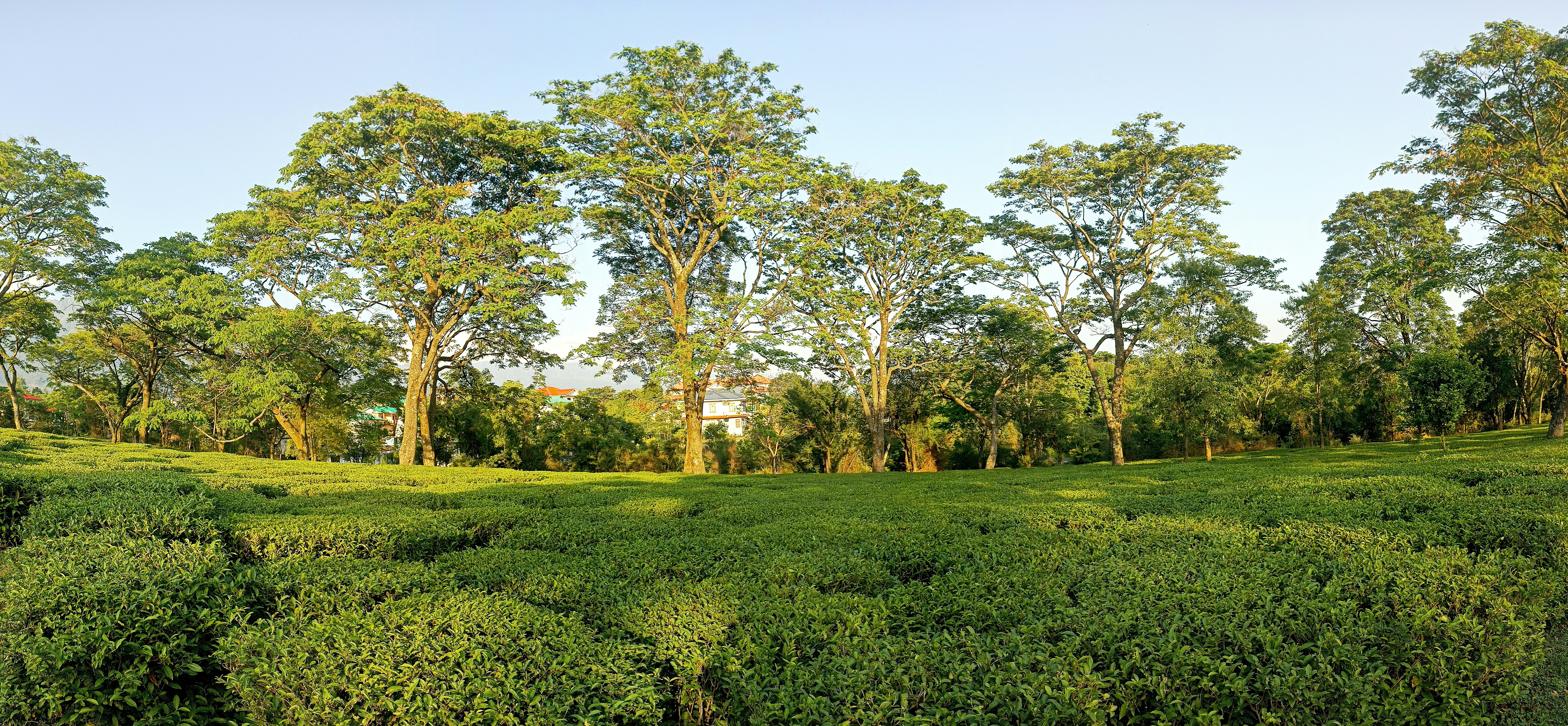 Photo by natureandmylens