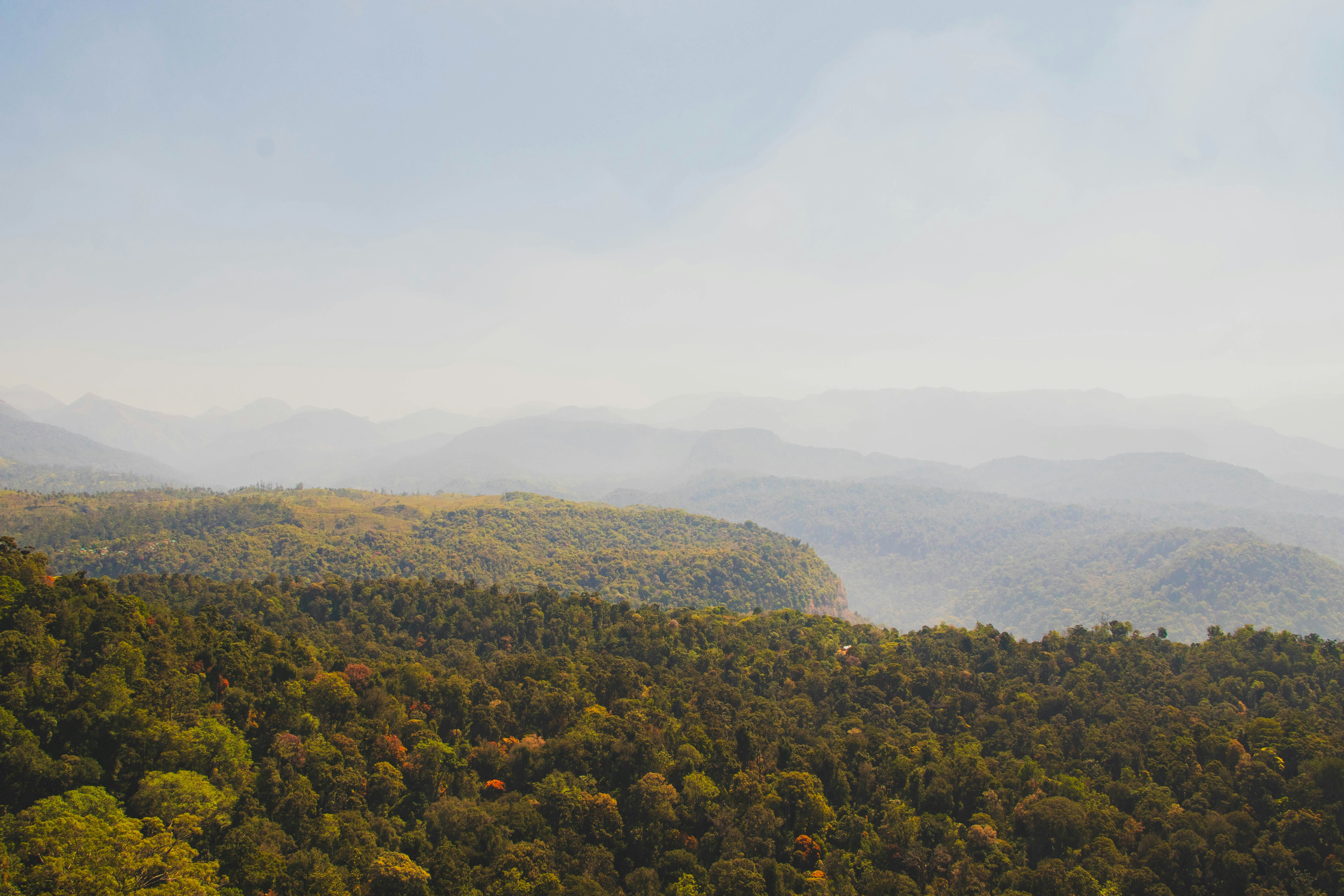 Photo by iamprakasam