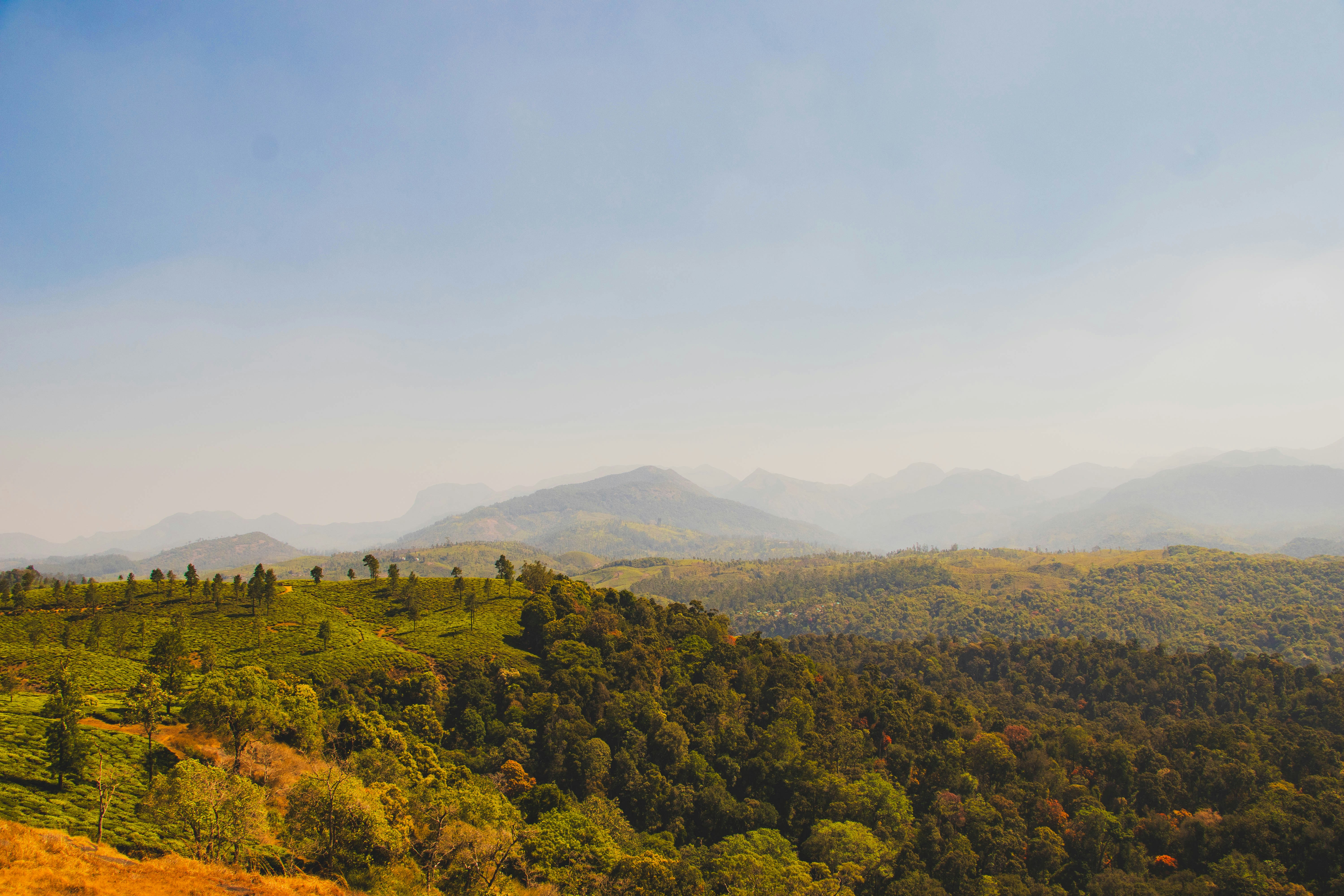 Photo by iamprakasam