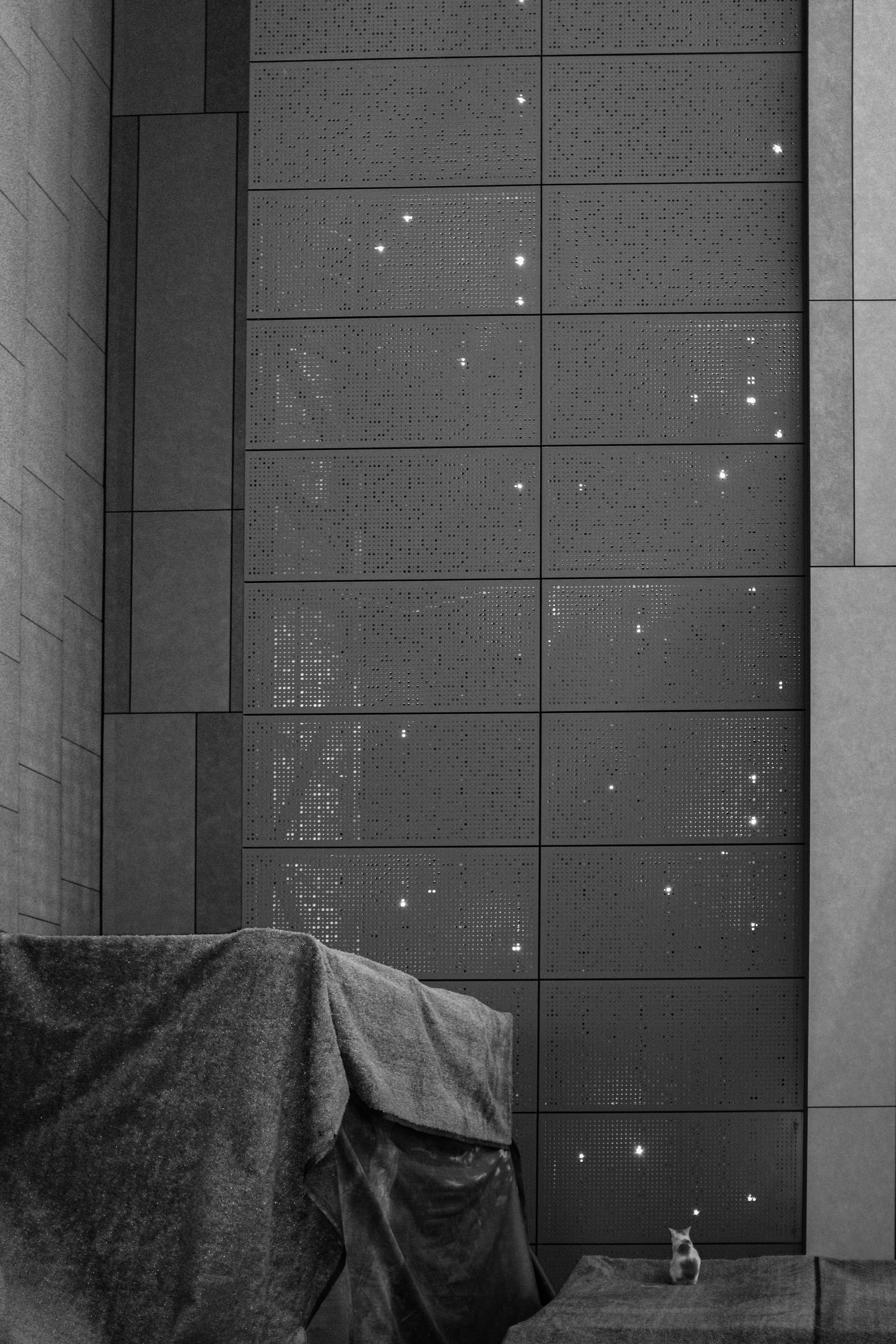 Photo by kennyzhang29