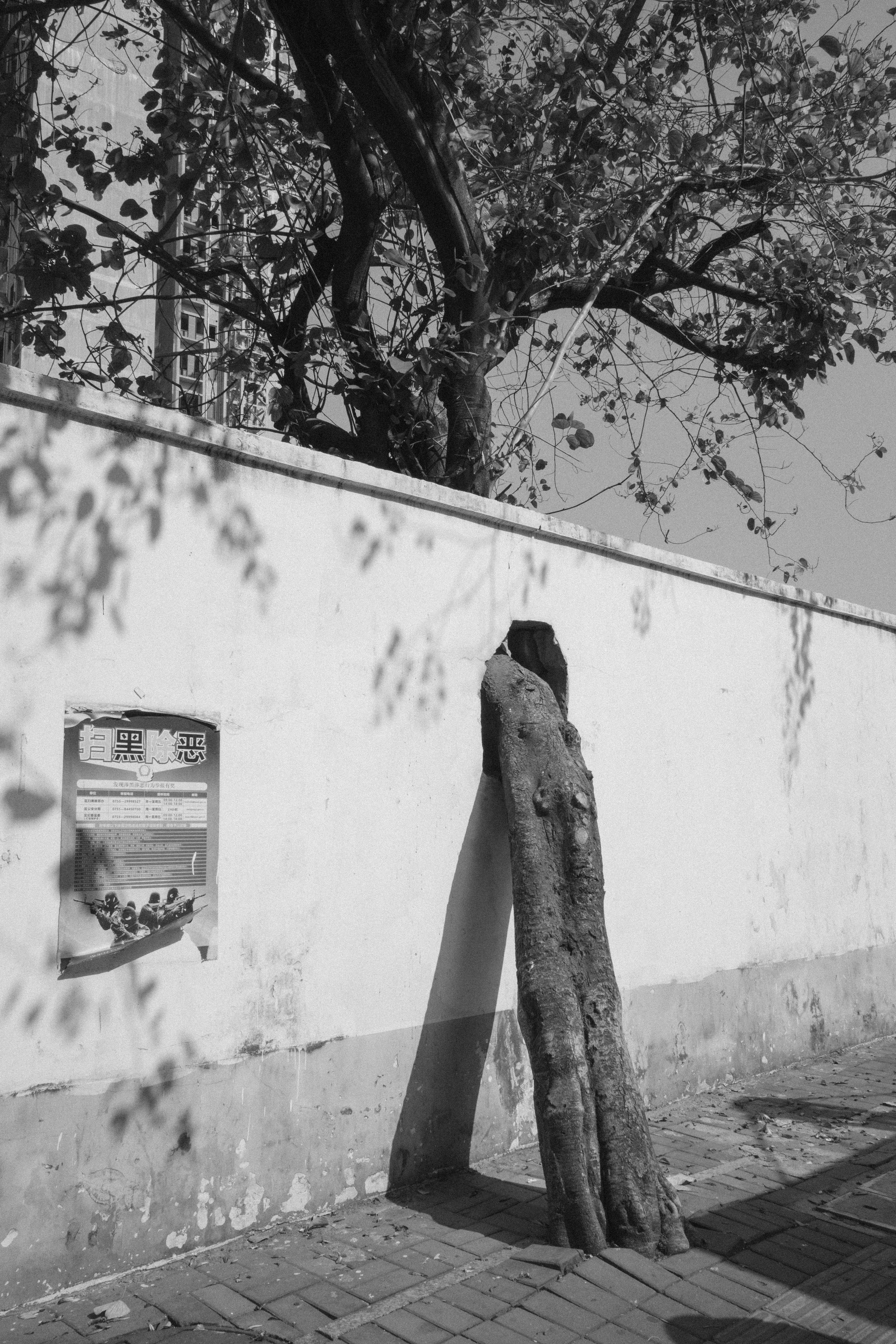 Photo by kennyzhang29