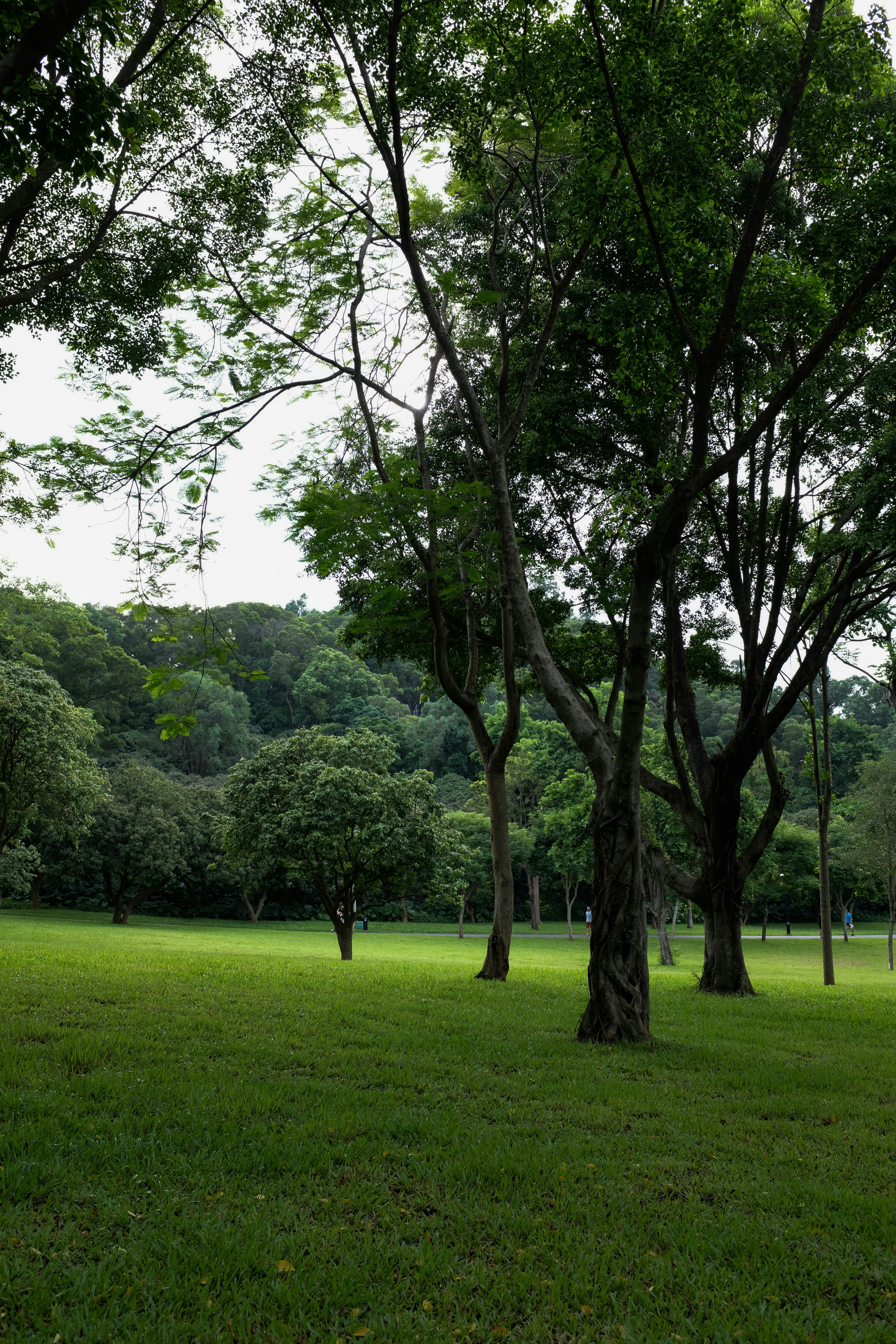 Photo by kennyzhang29