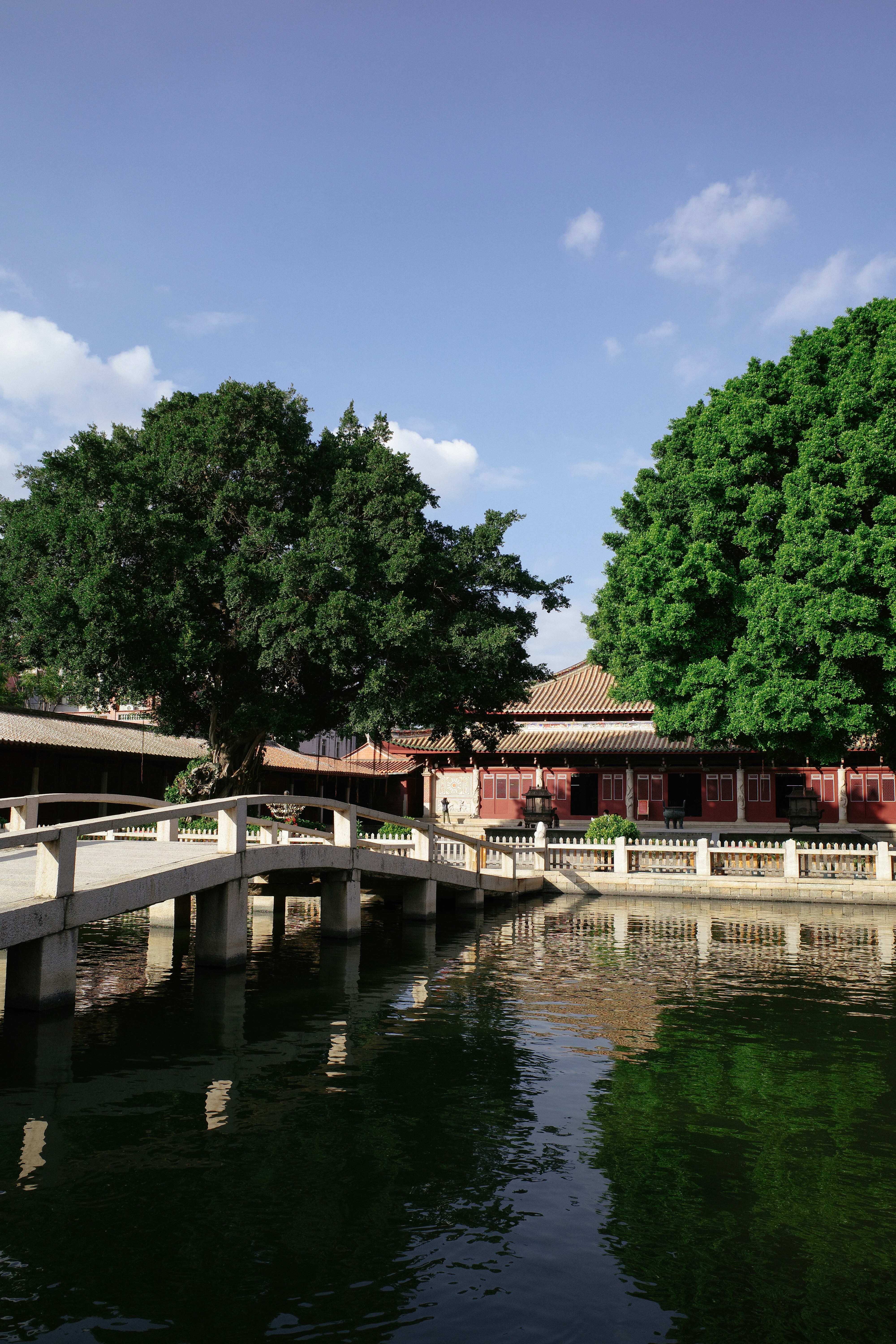 Photo by kennyzhang29