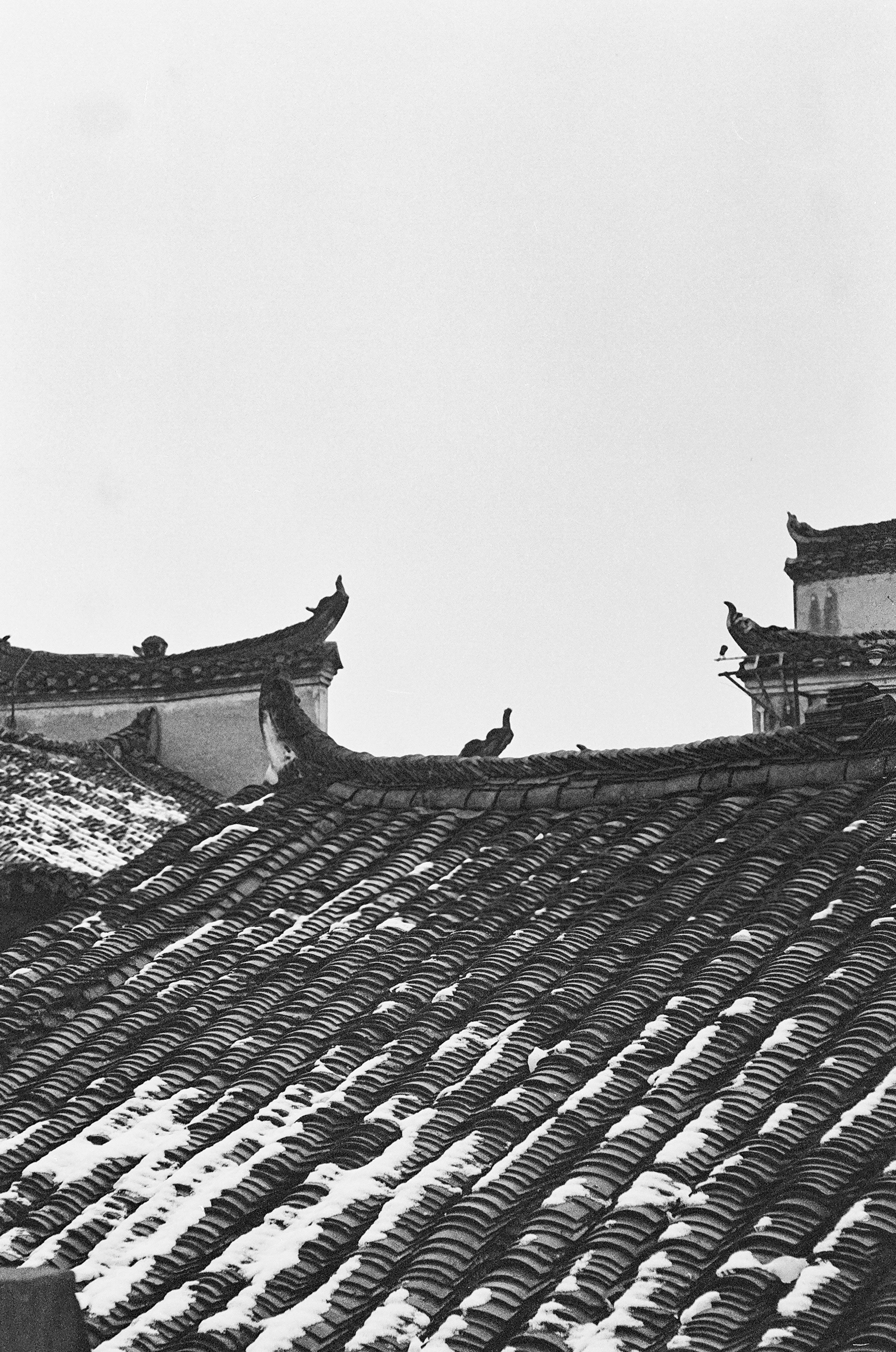 Photo by kennyzhang29