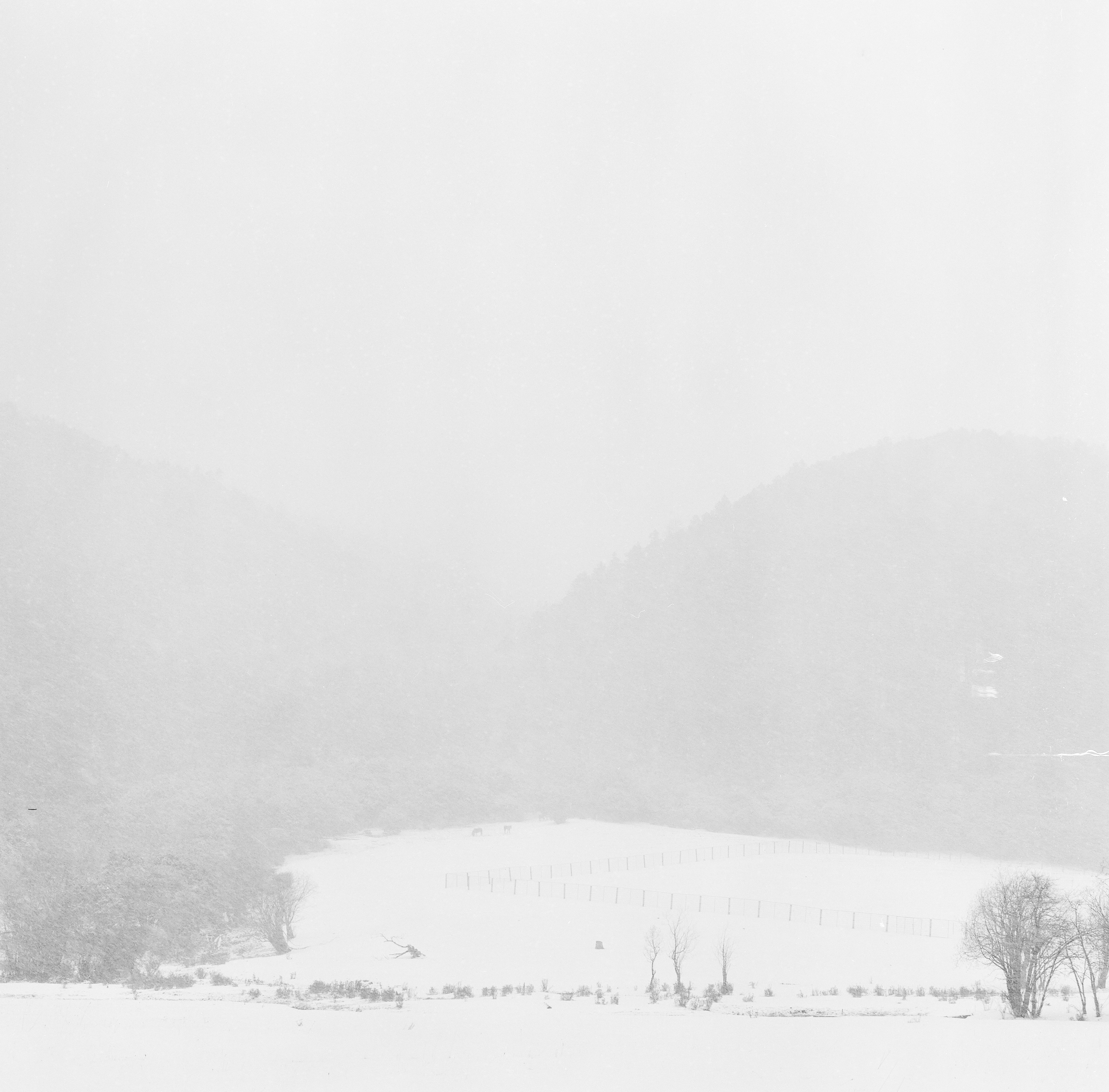 Photo by kennyzhang29