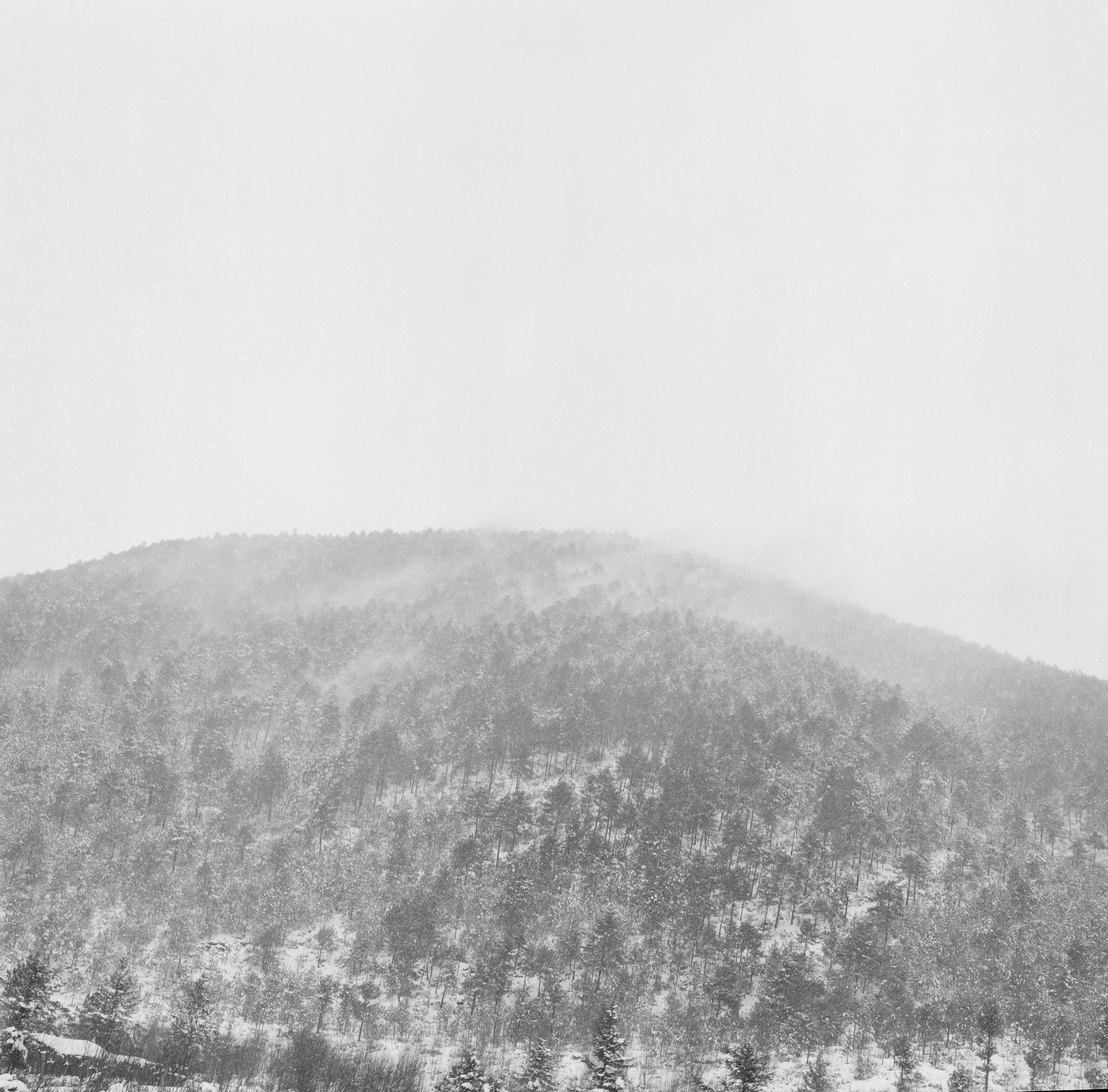 Photo by kennyzhang29