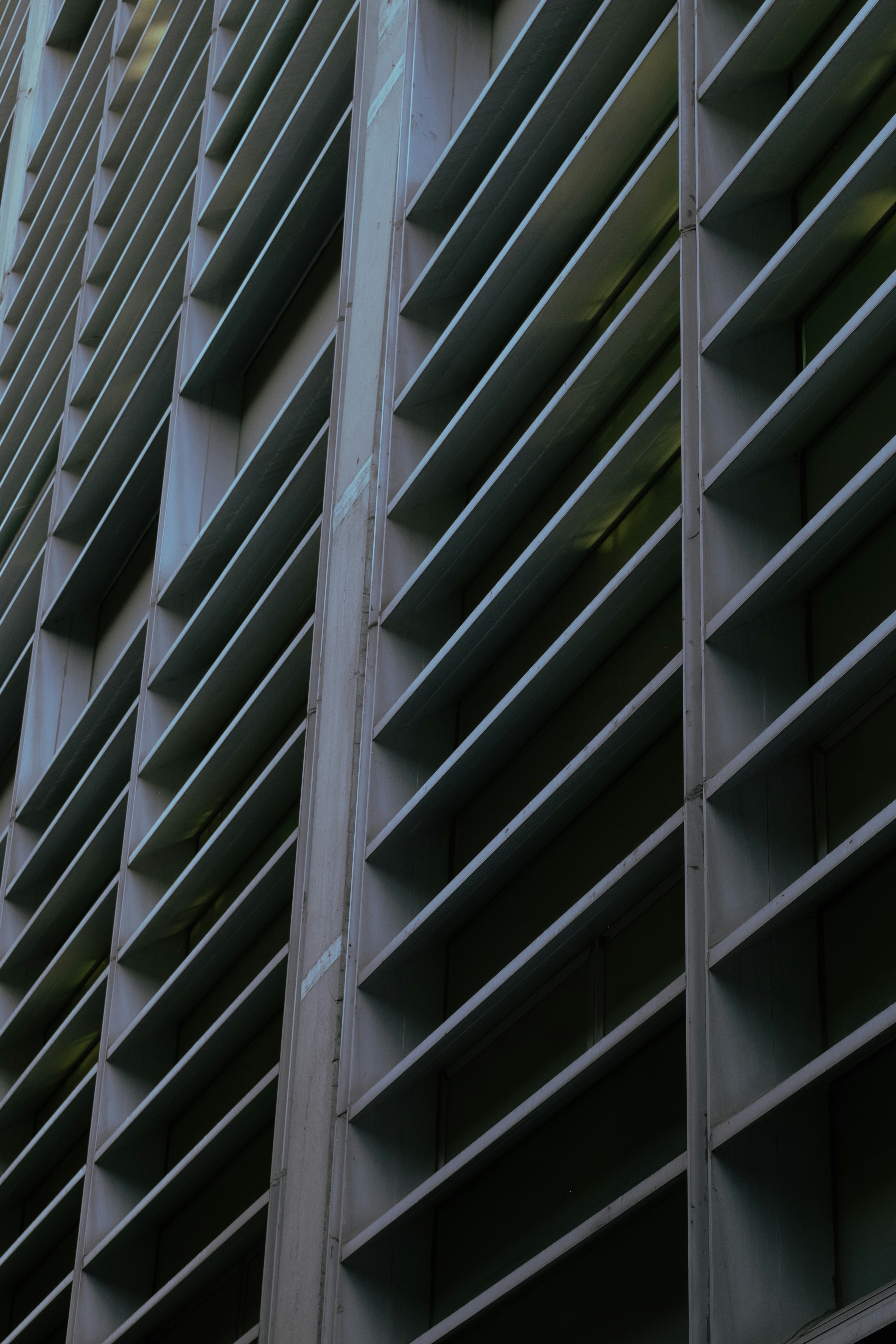 Photo by angelmalrey