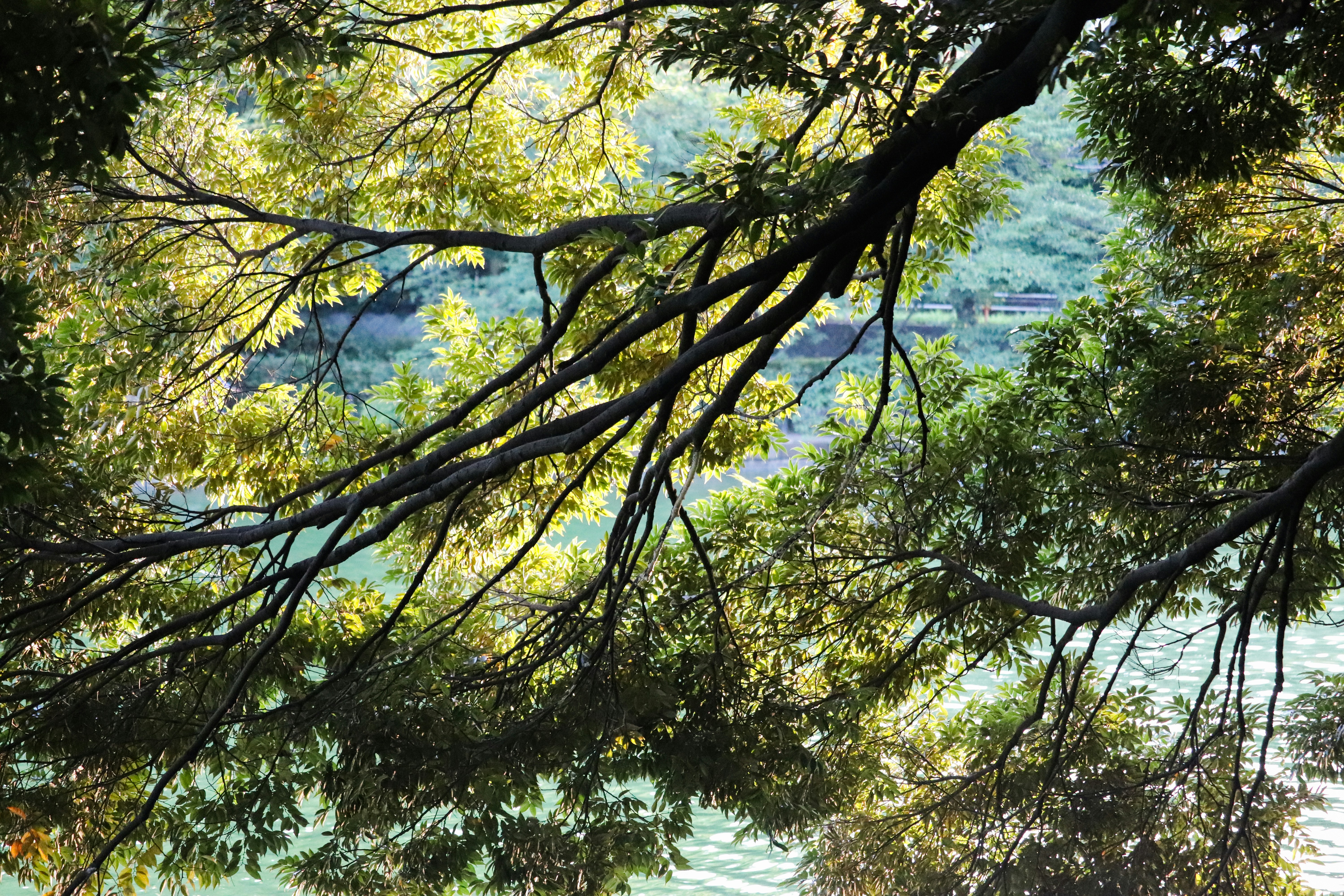 Photo by qonitaafnani