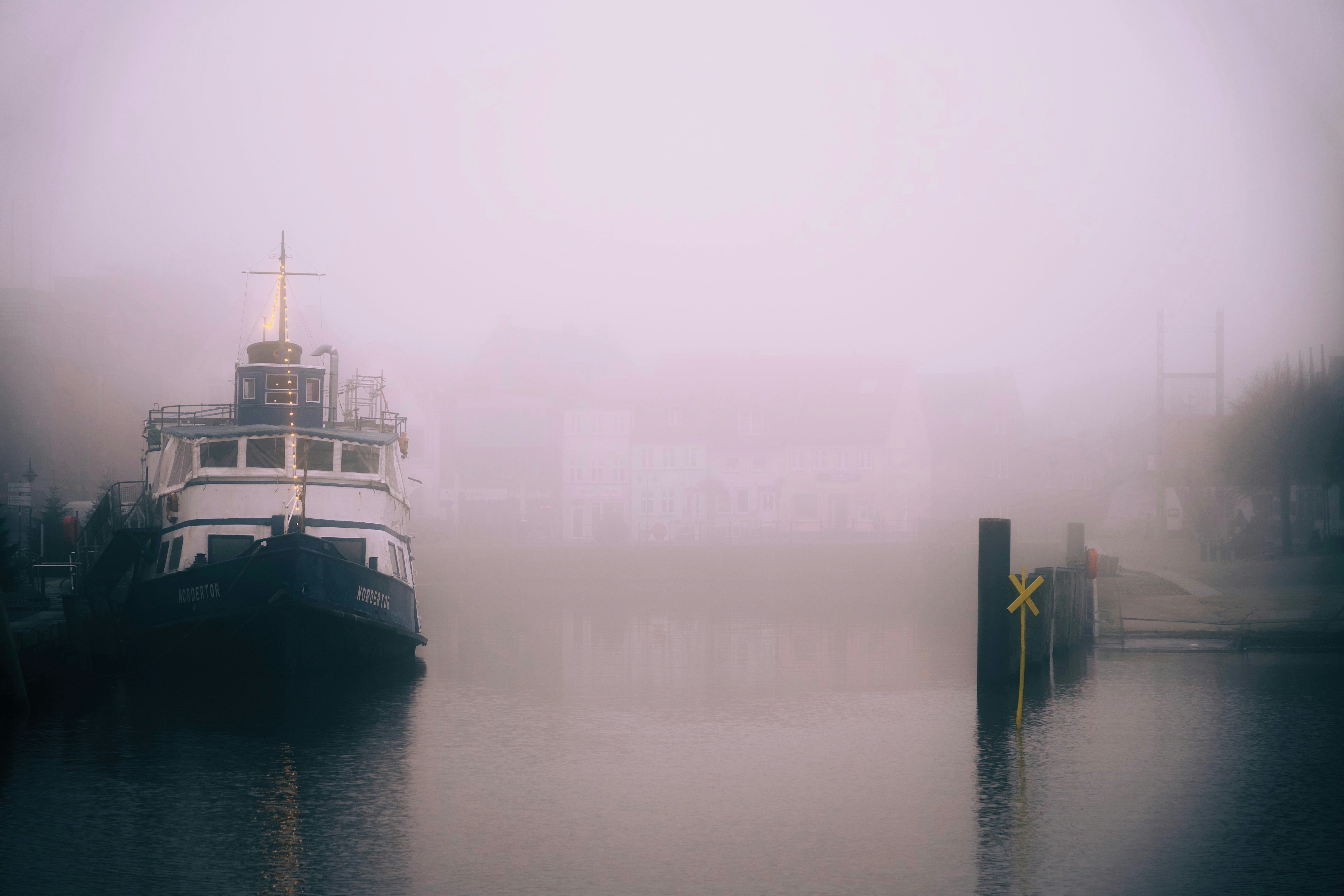 Misty, serene waterfront