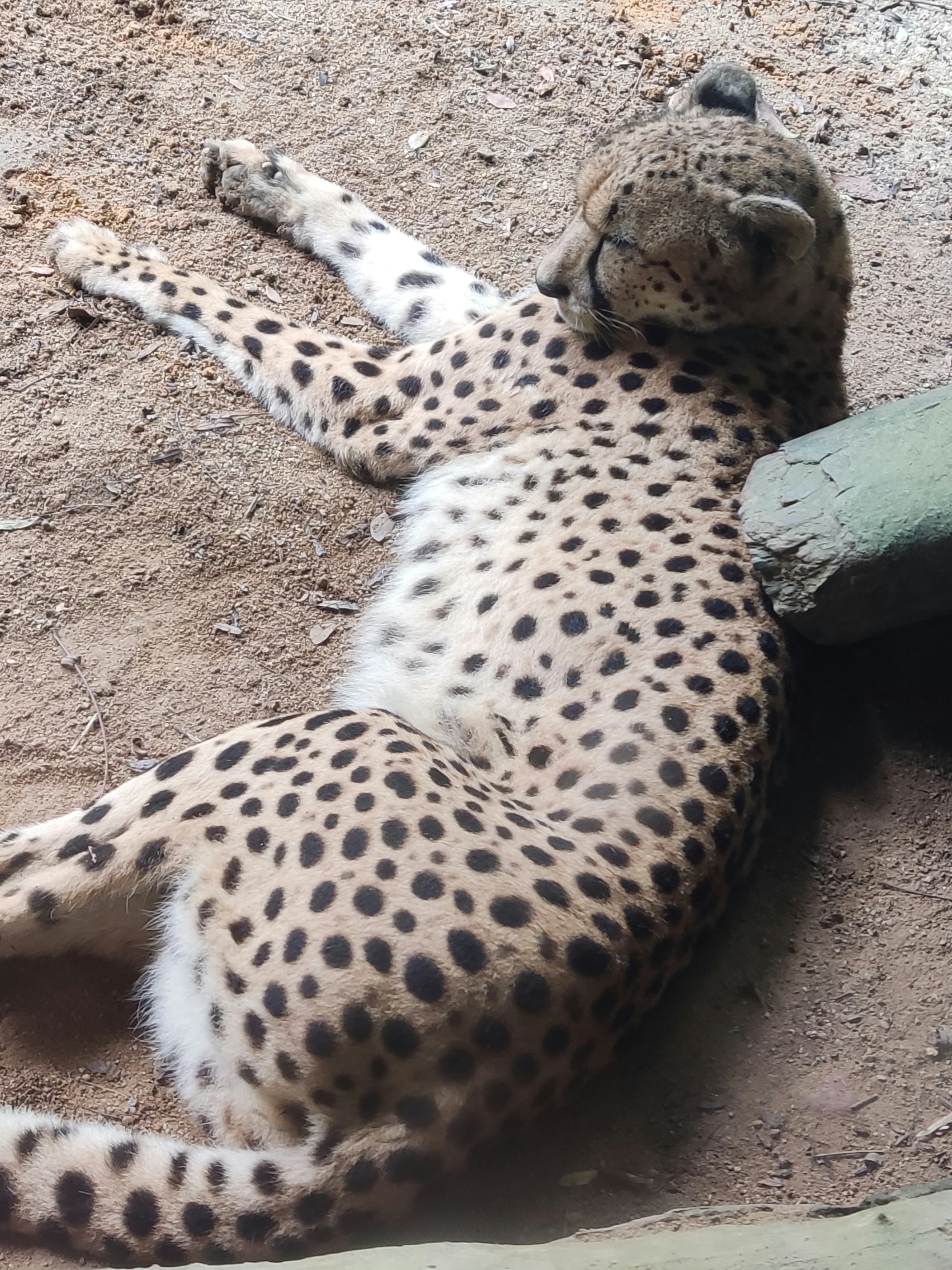 Photo by ridhamsupriyanto