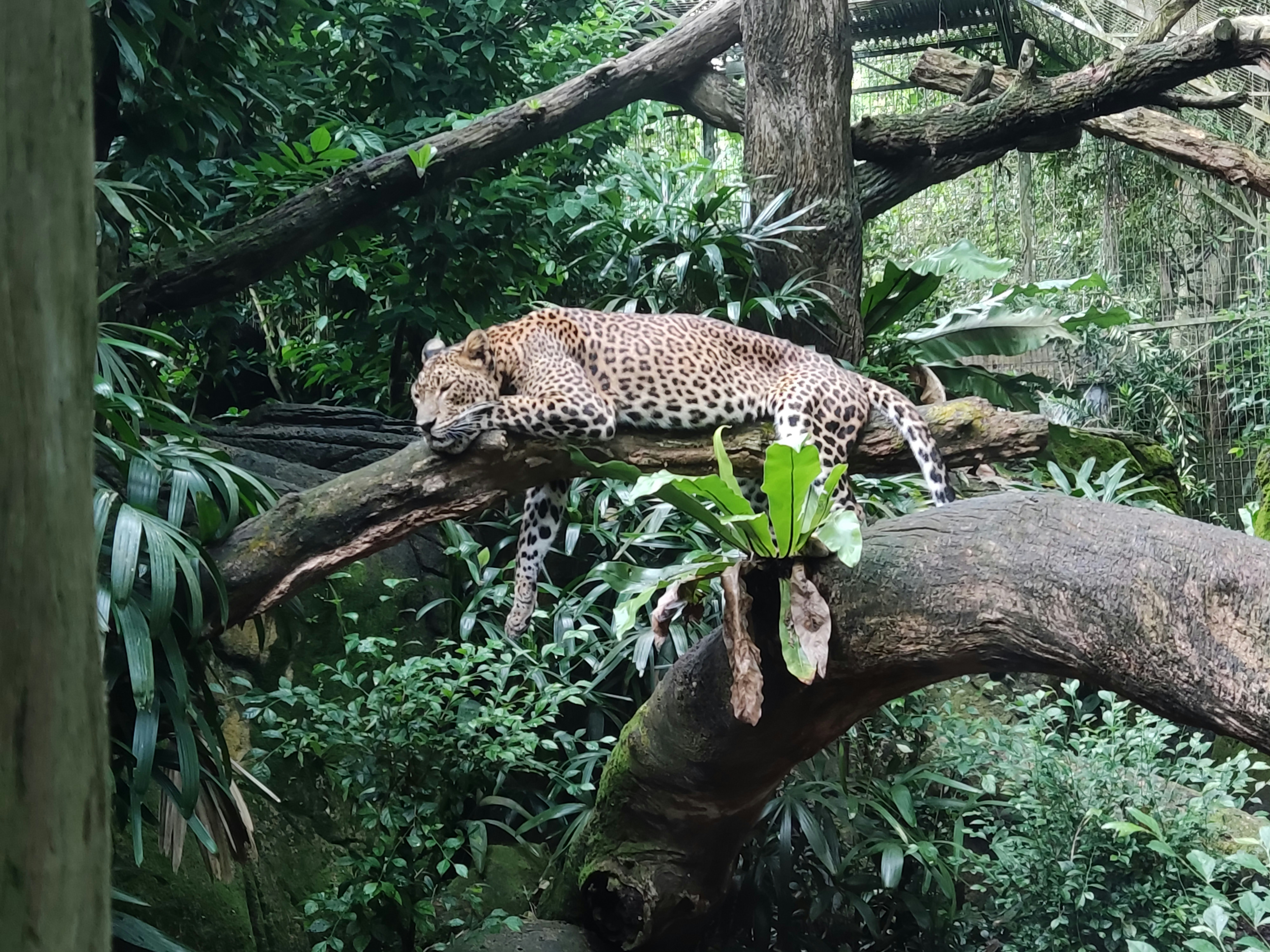 Photo by ridhamsupriyanto