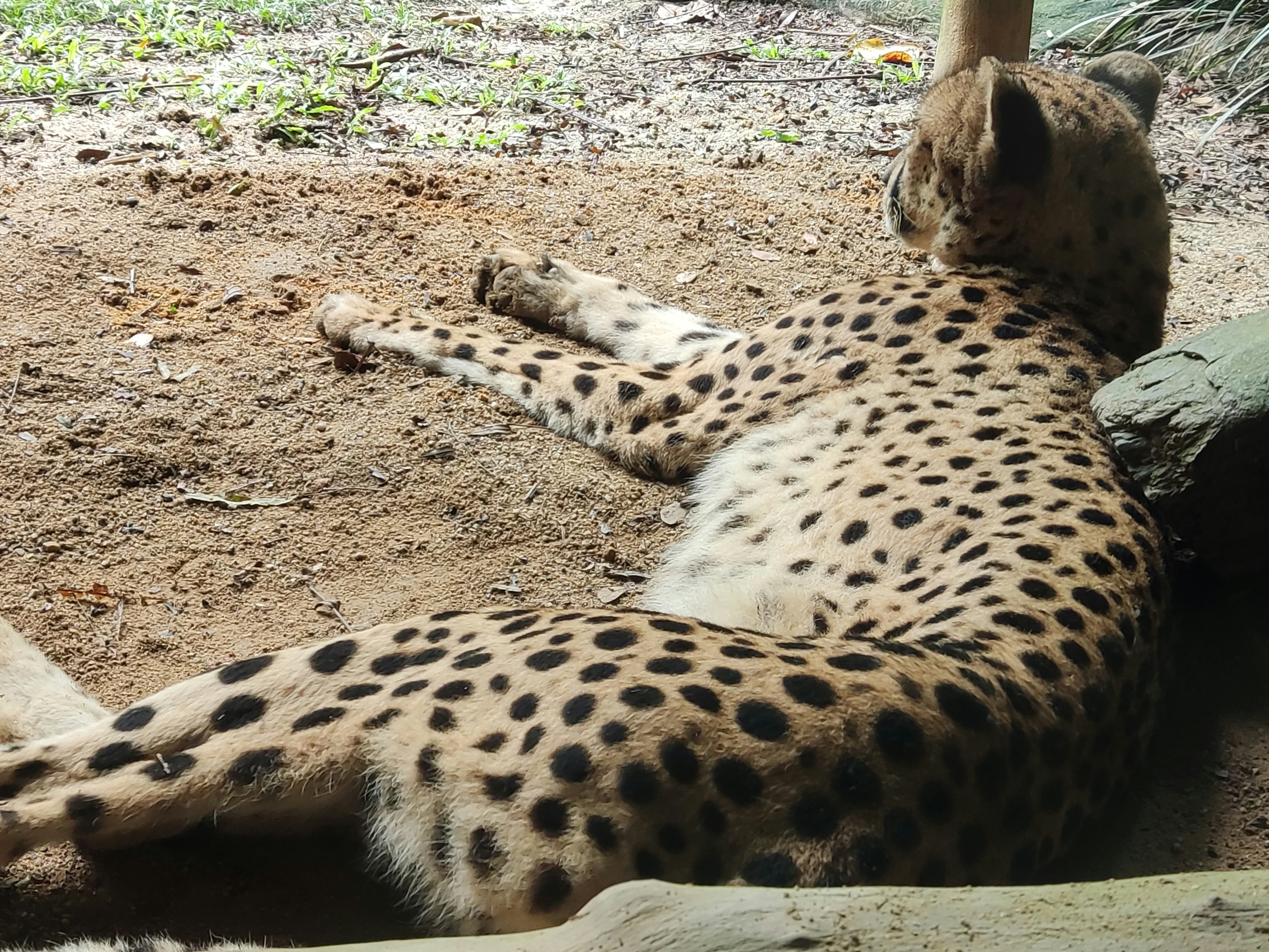 Photo by ridhamsupriyanto