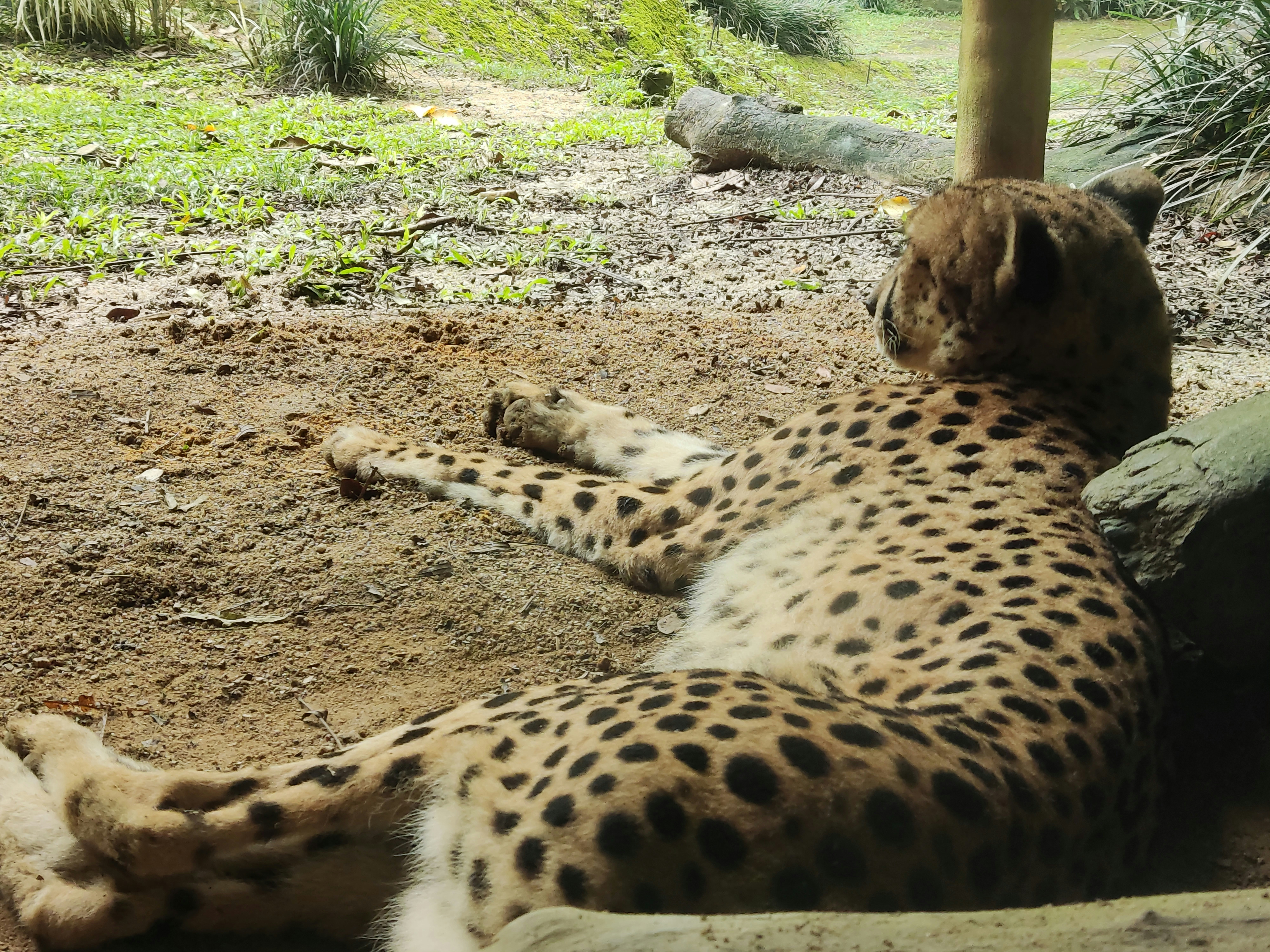 Photo by ridhamsupriyanto