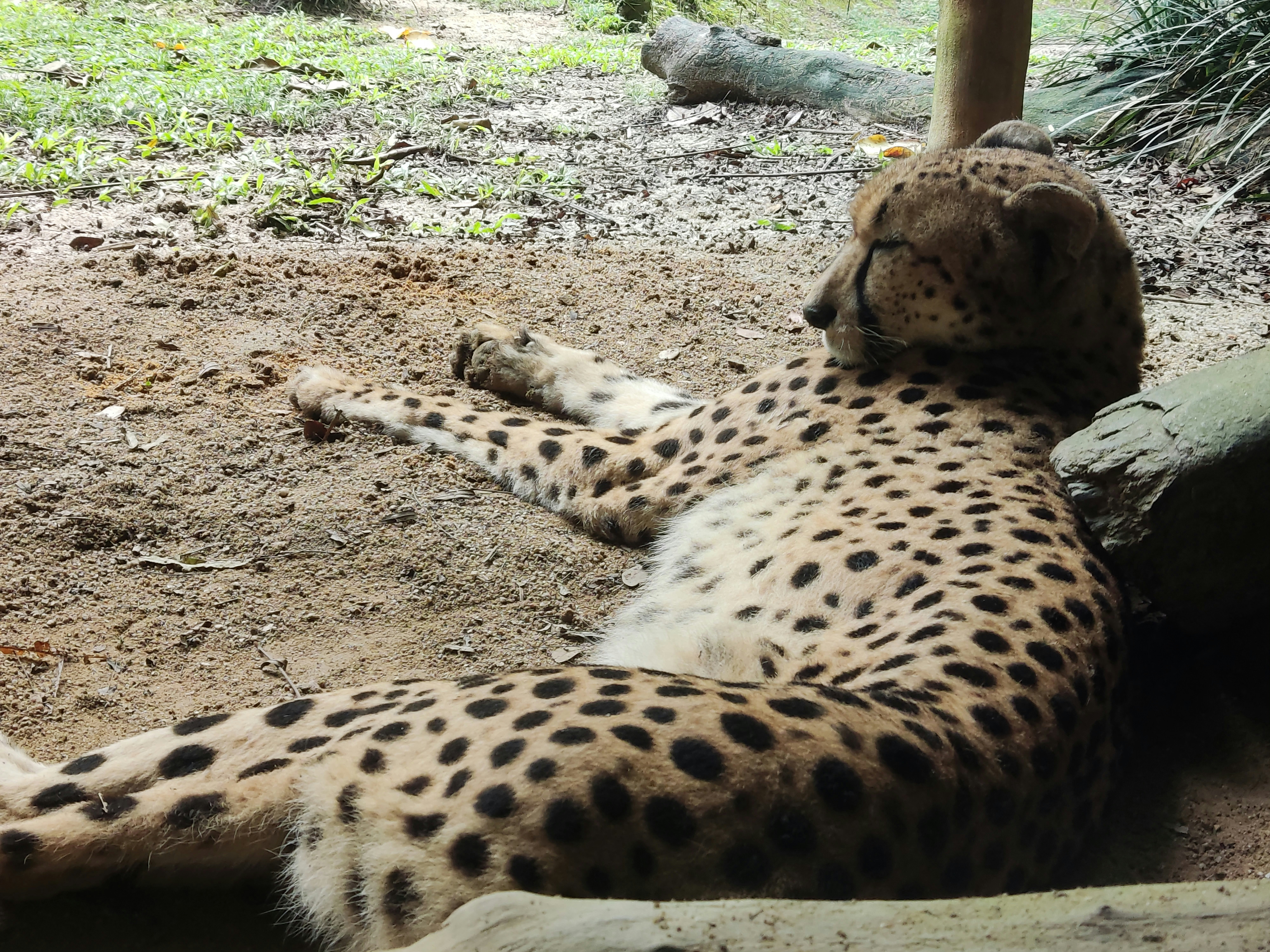 Photo by ridhamsupriyanto