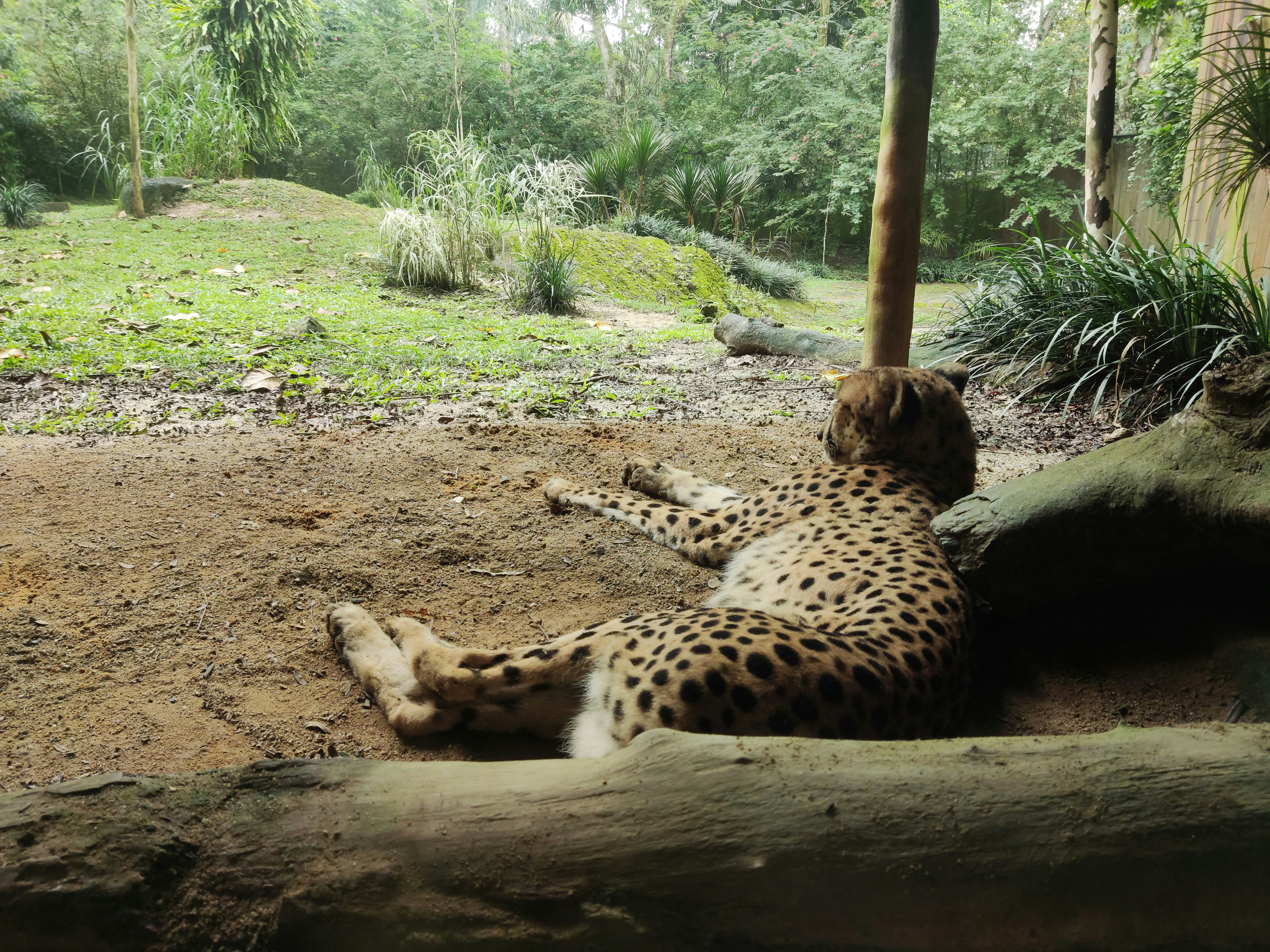 Photo by ridhamsupriyanto