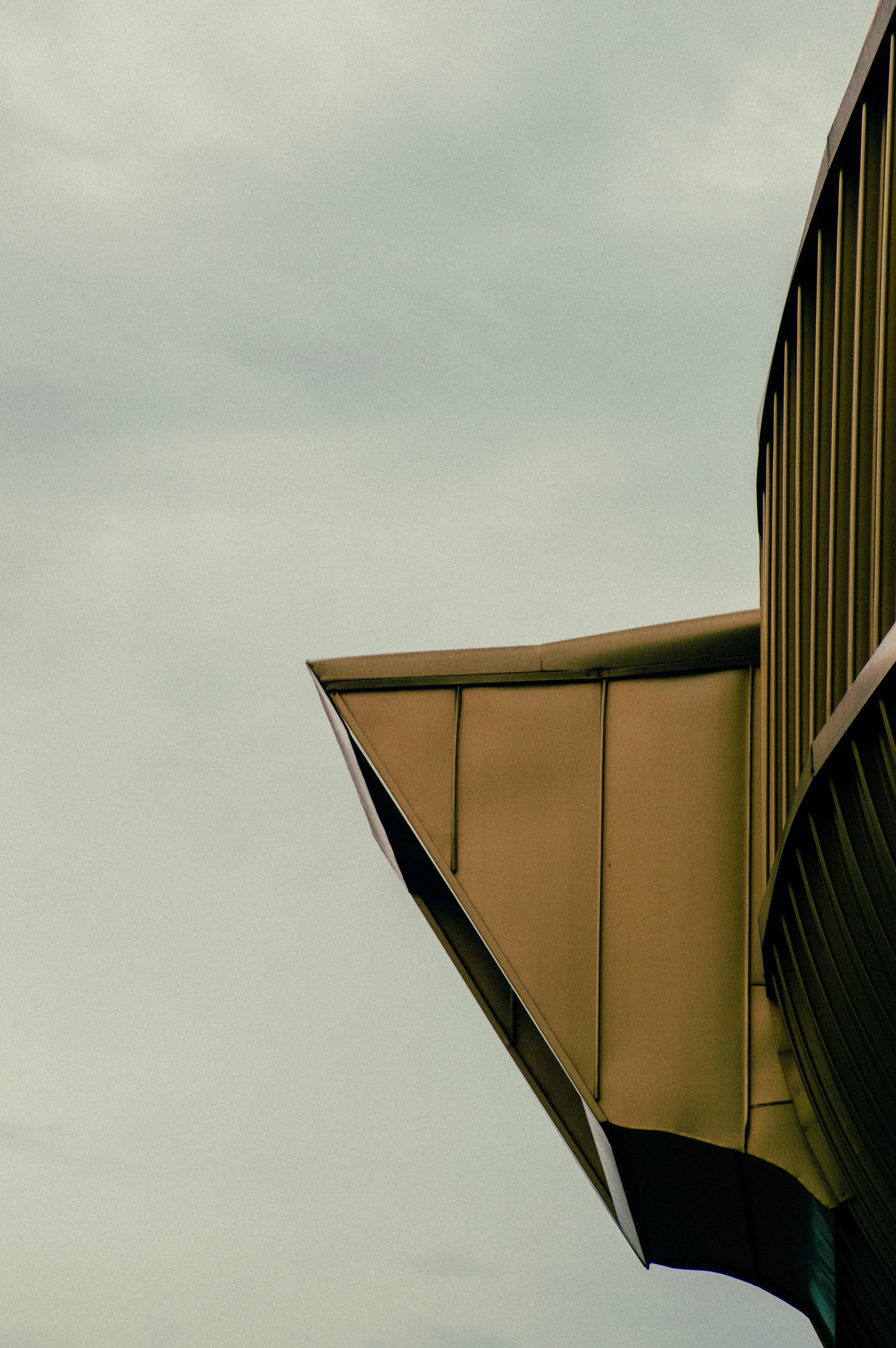 Photo by lorenzosardelli