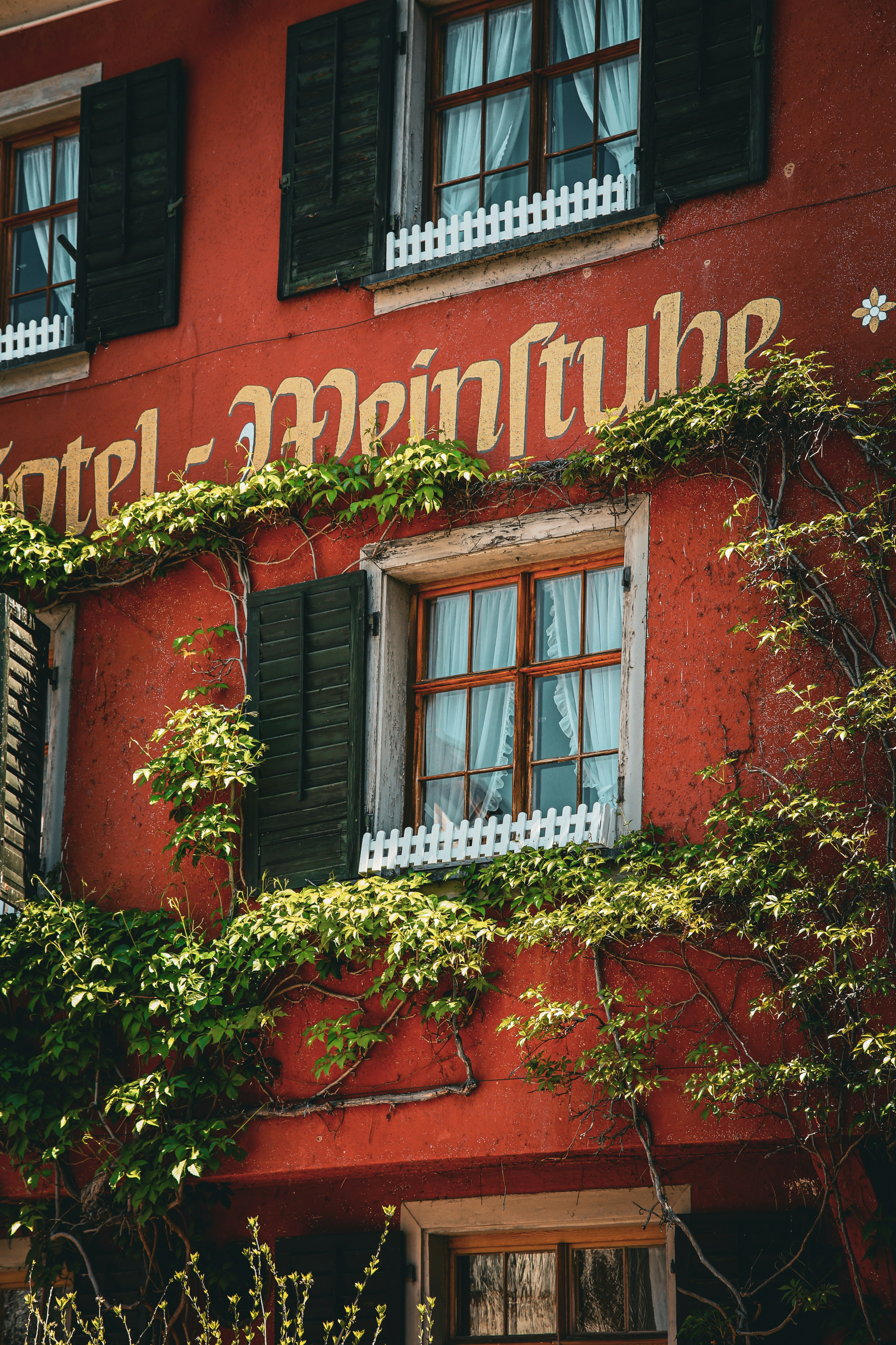 An ivy-covered building with "hotel weinstube" signage.
