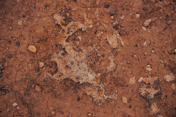 Close-up of reddish dirt with an irregular pattern.