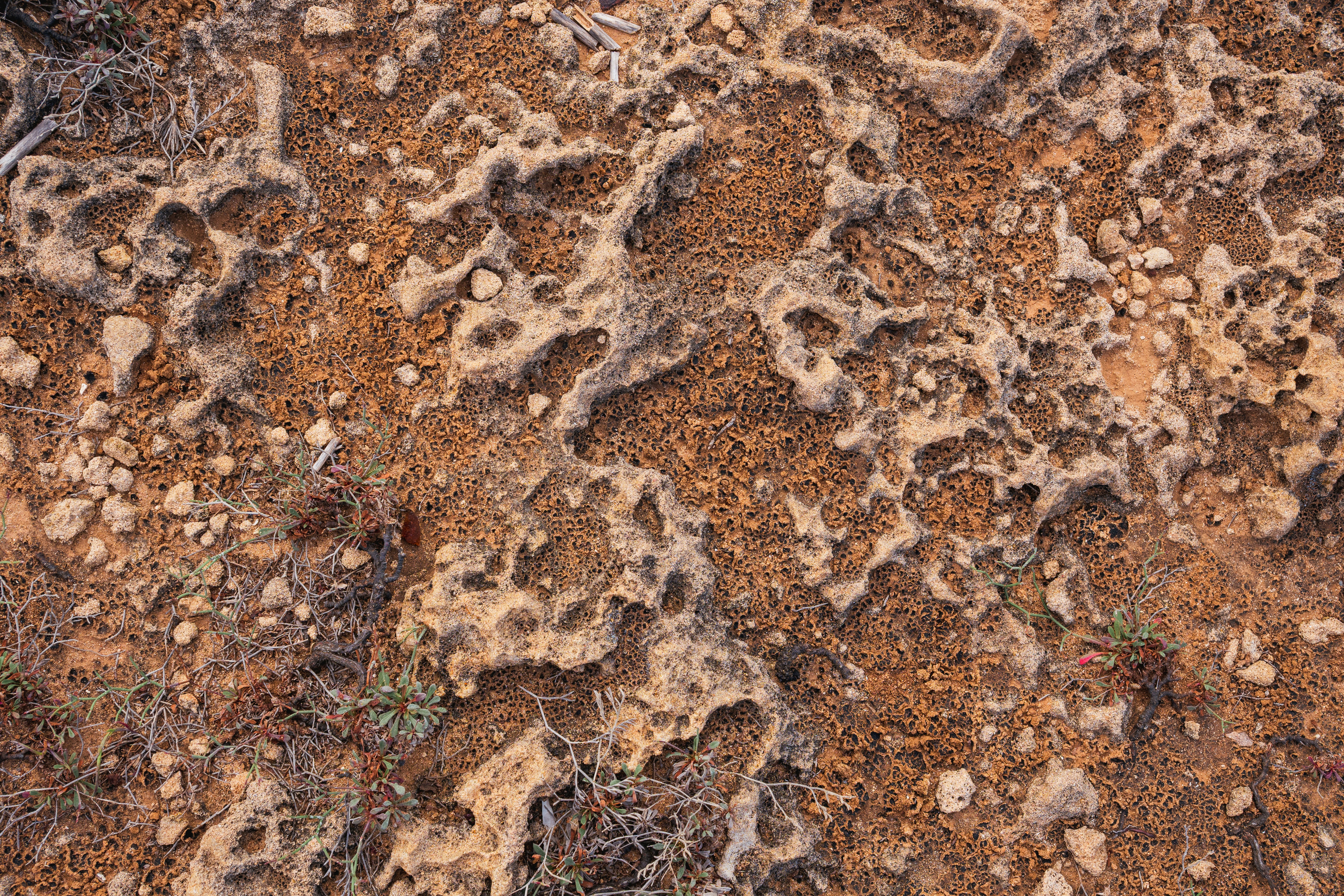 The Ongoing Search for Alien Organics (image credits: unsplash)