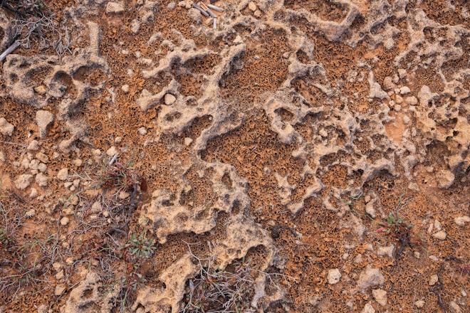 Eroded rock formation with holes and textures.