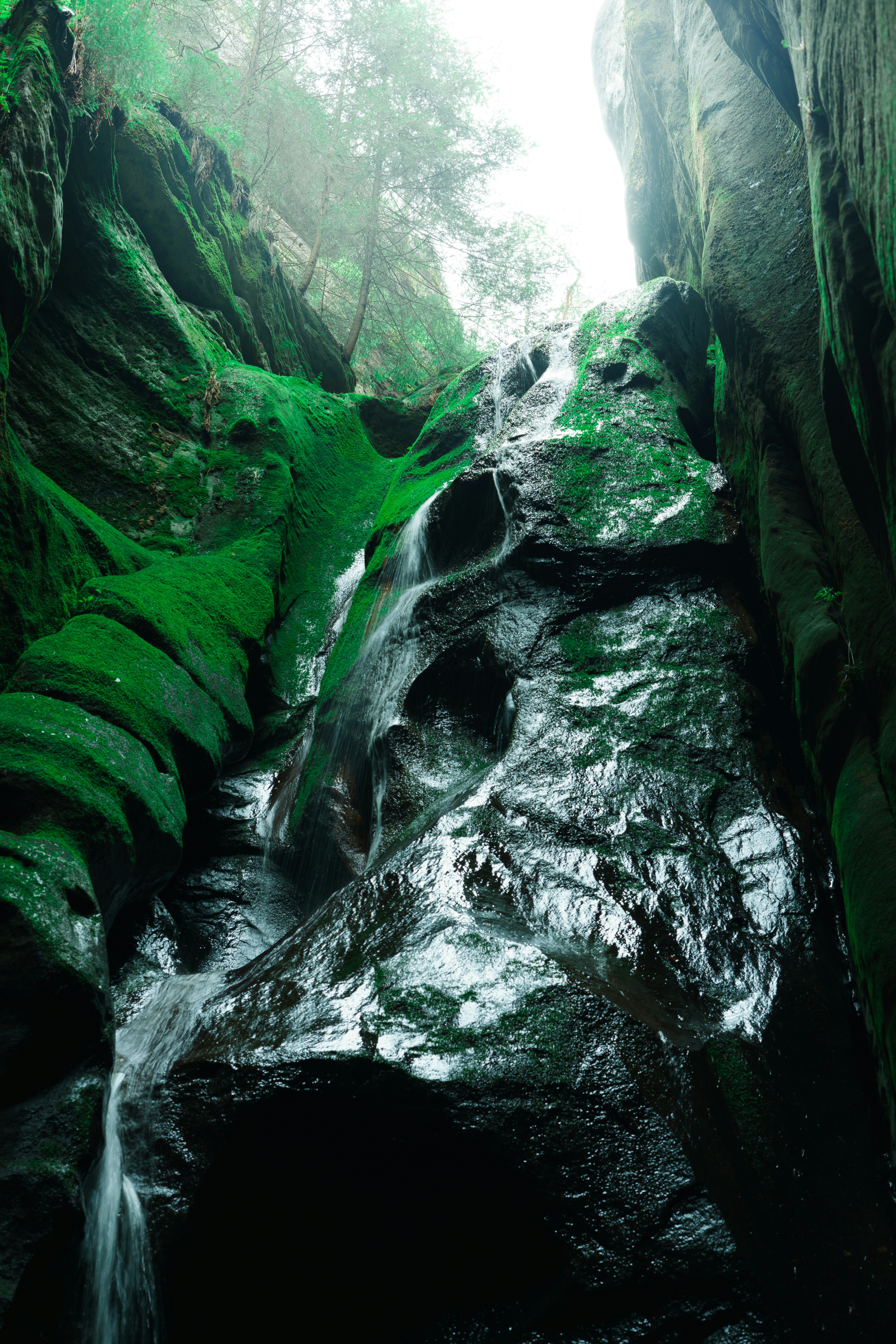 Photo by userwithcamera