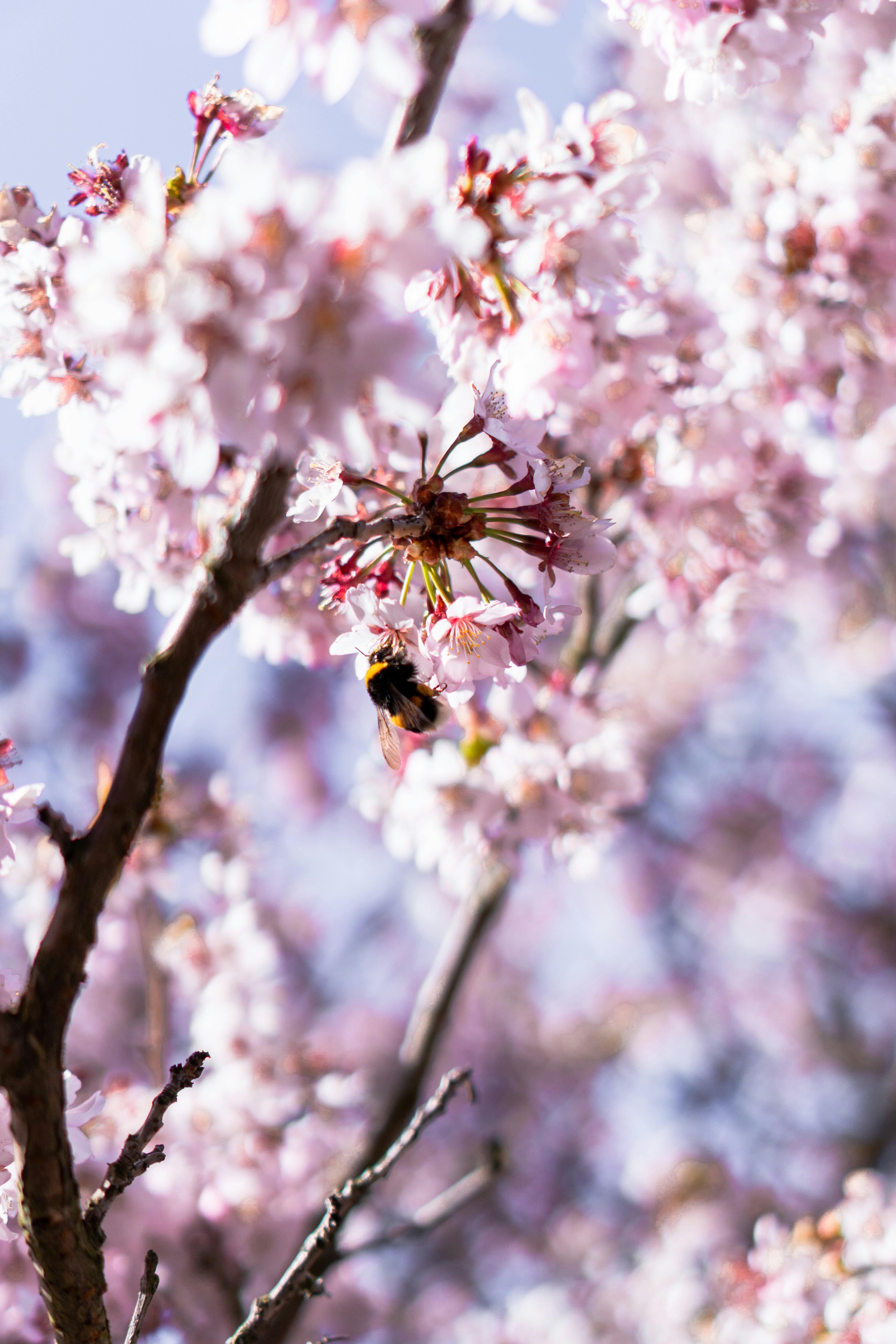 Photo by fanticqq