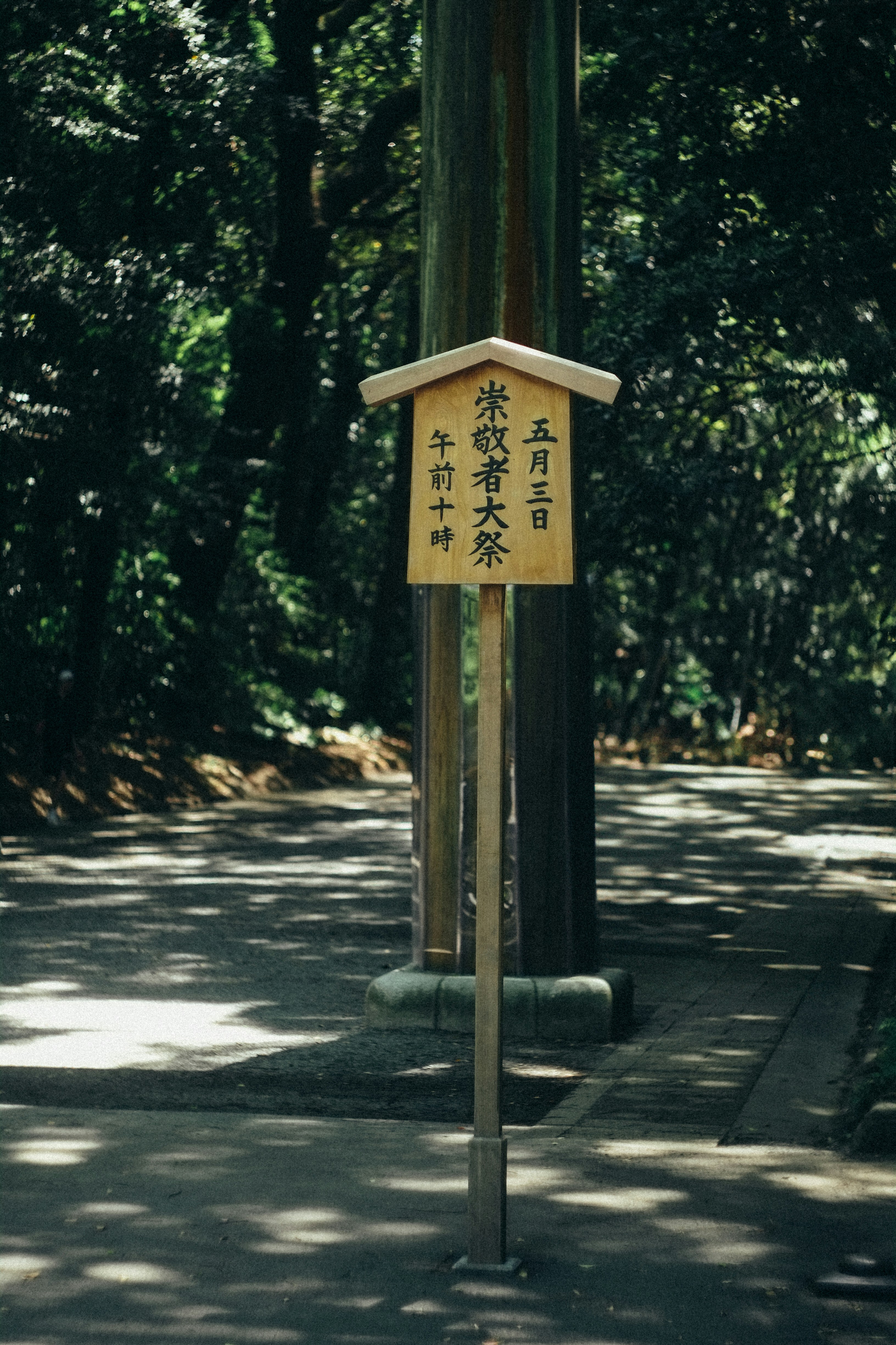 Photo by andythanhhaii