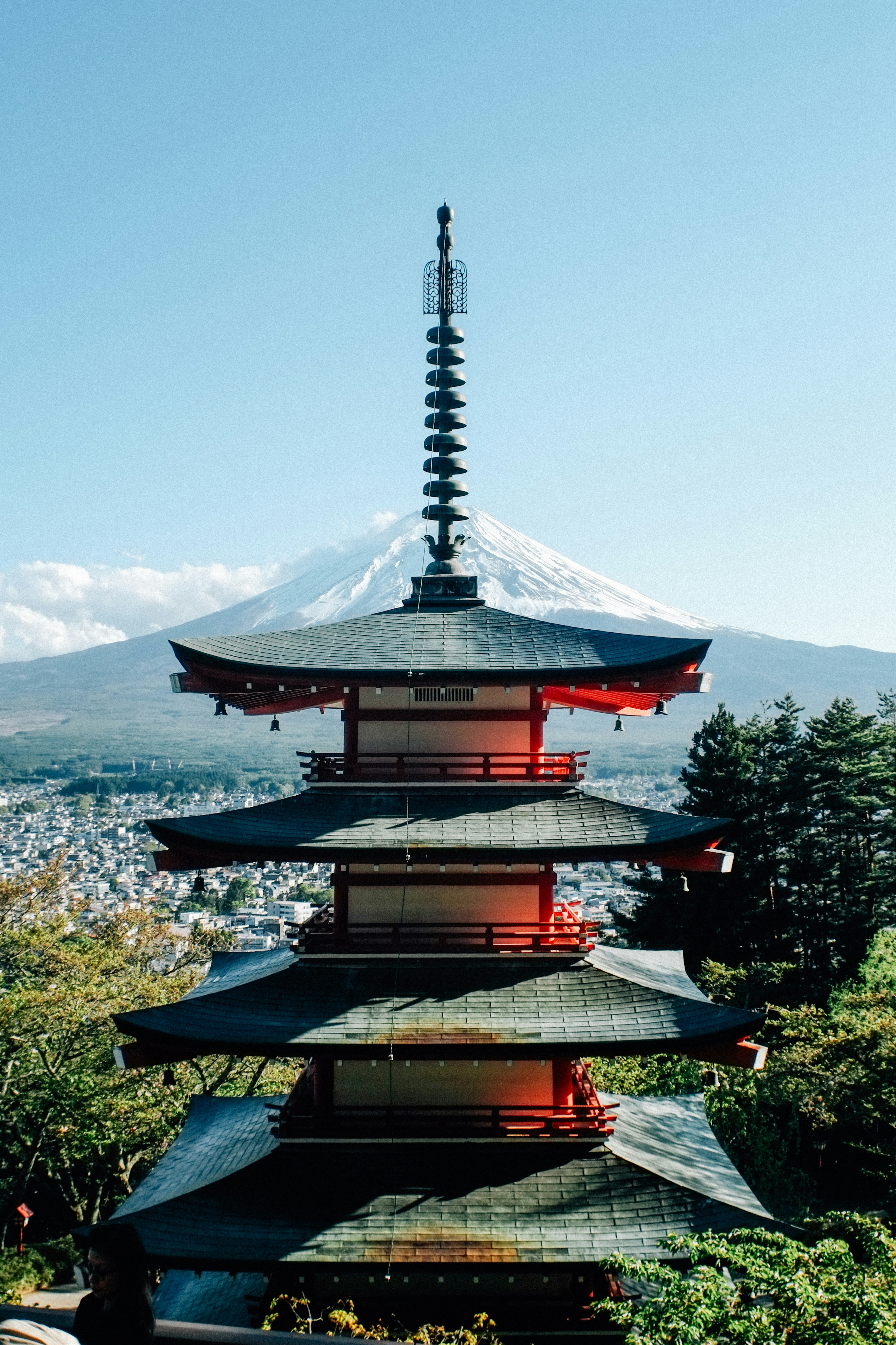 Photo by andythanhhaii