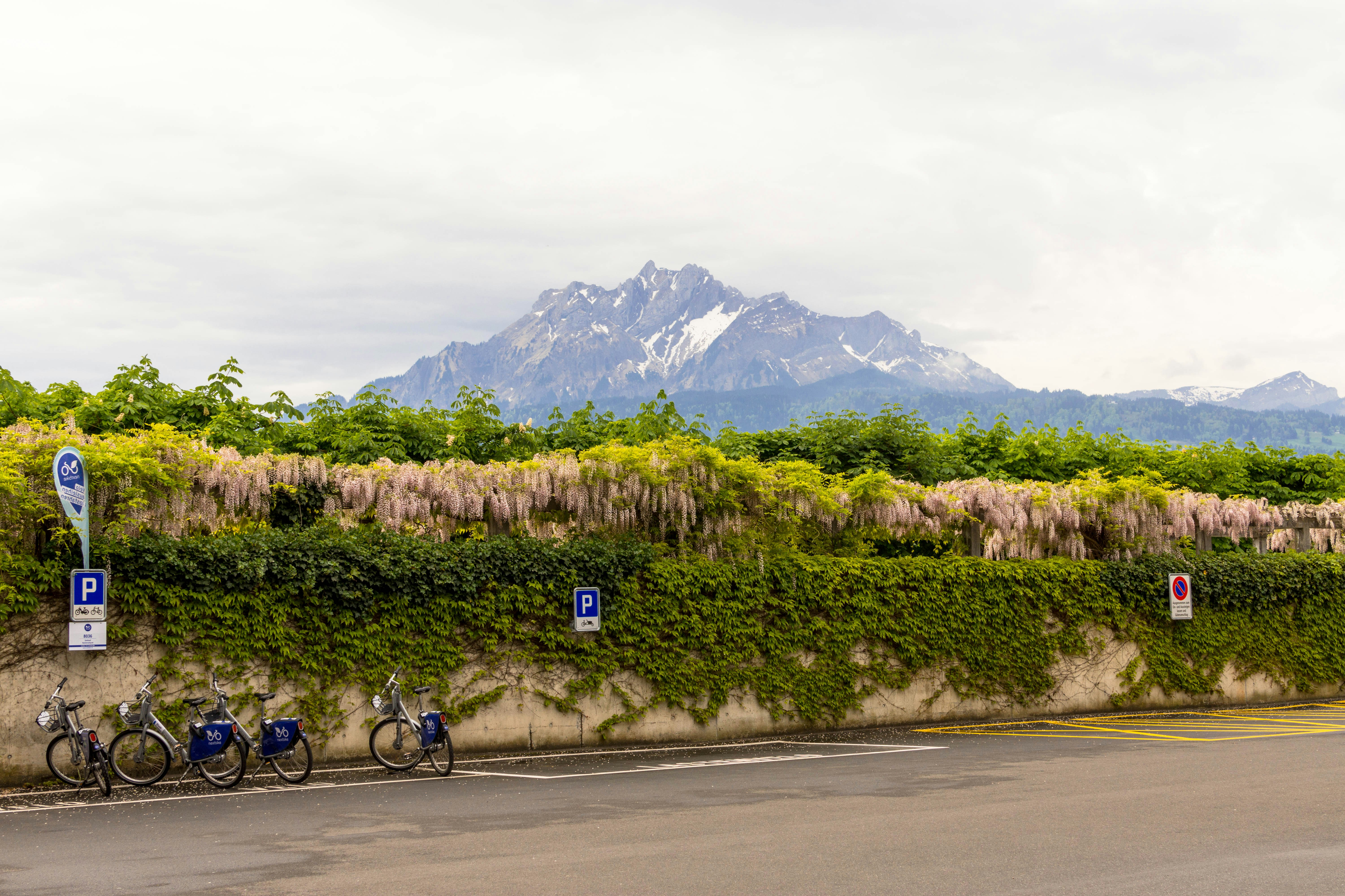 Mariazell
