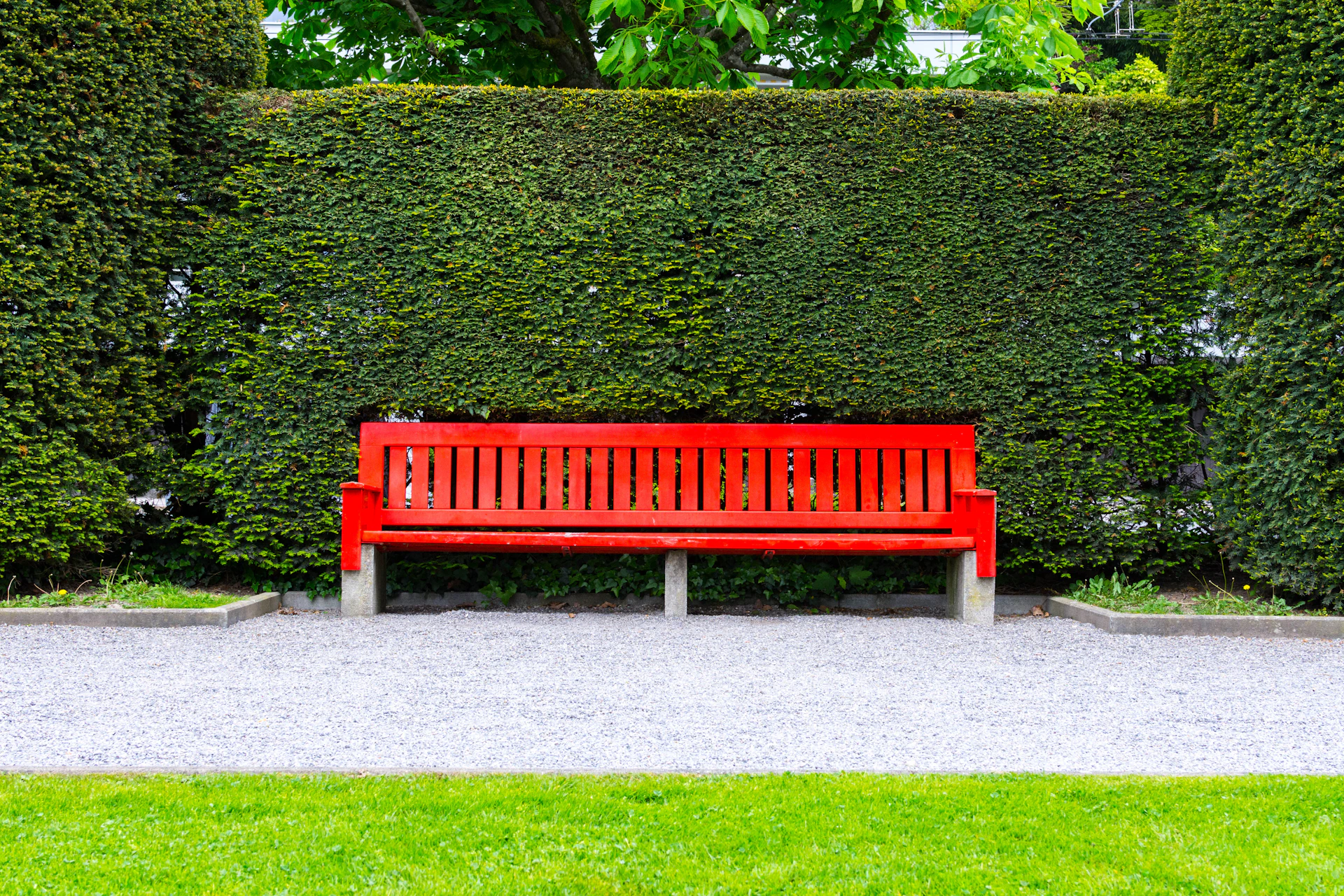 A red bench sits before a green hedge.