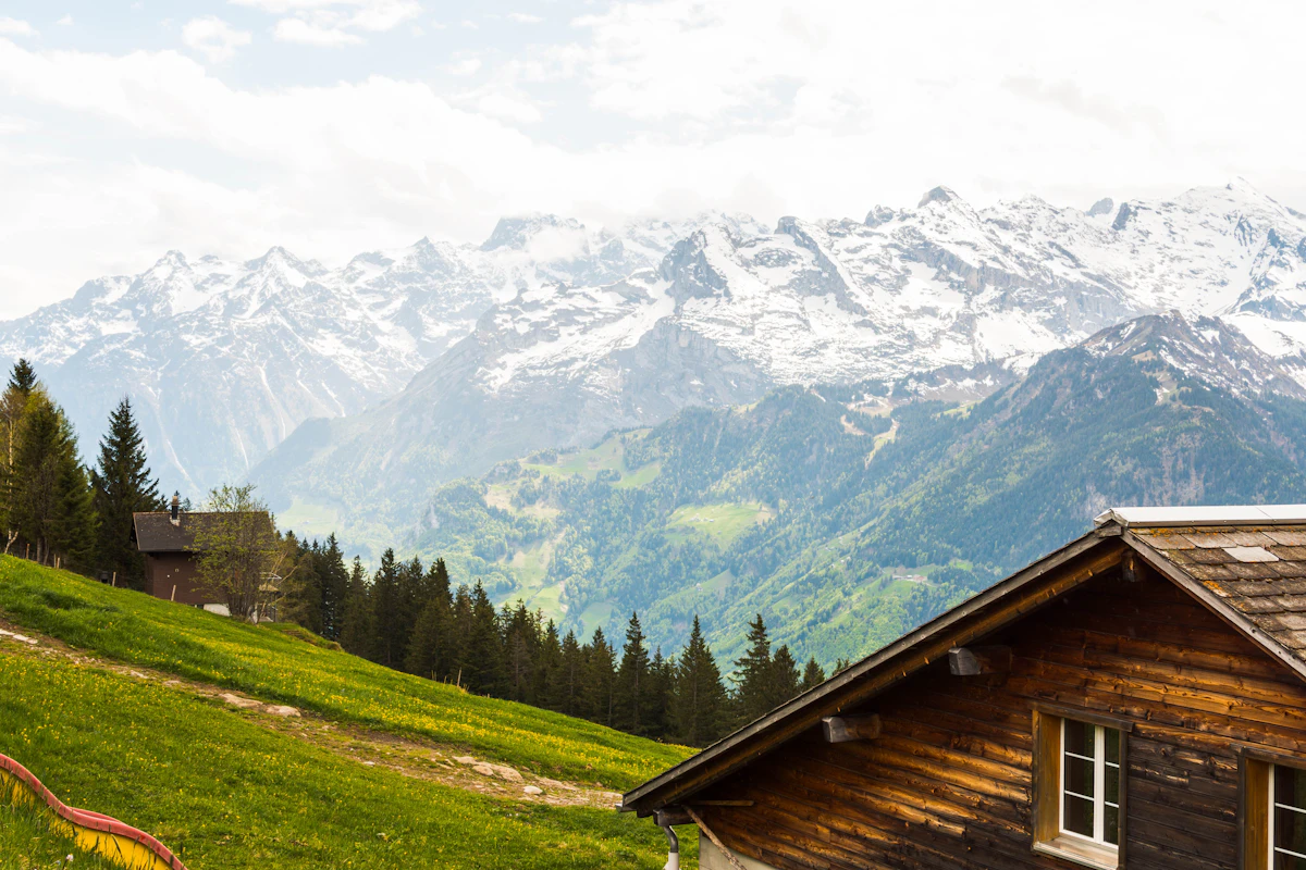 Sweeping Swiss Alpine landscape with lush green meadows, wildflowers, and dramatic snow-capped mountain peaks under blue sky
