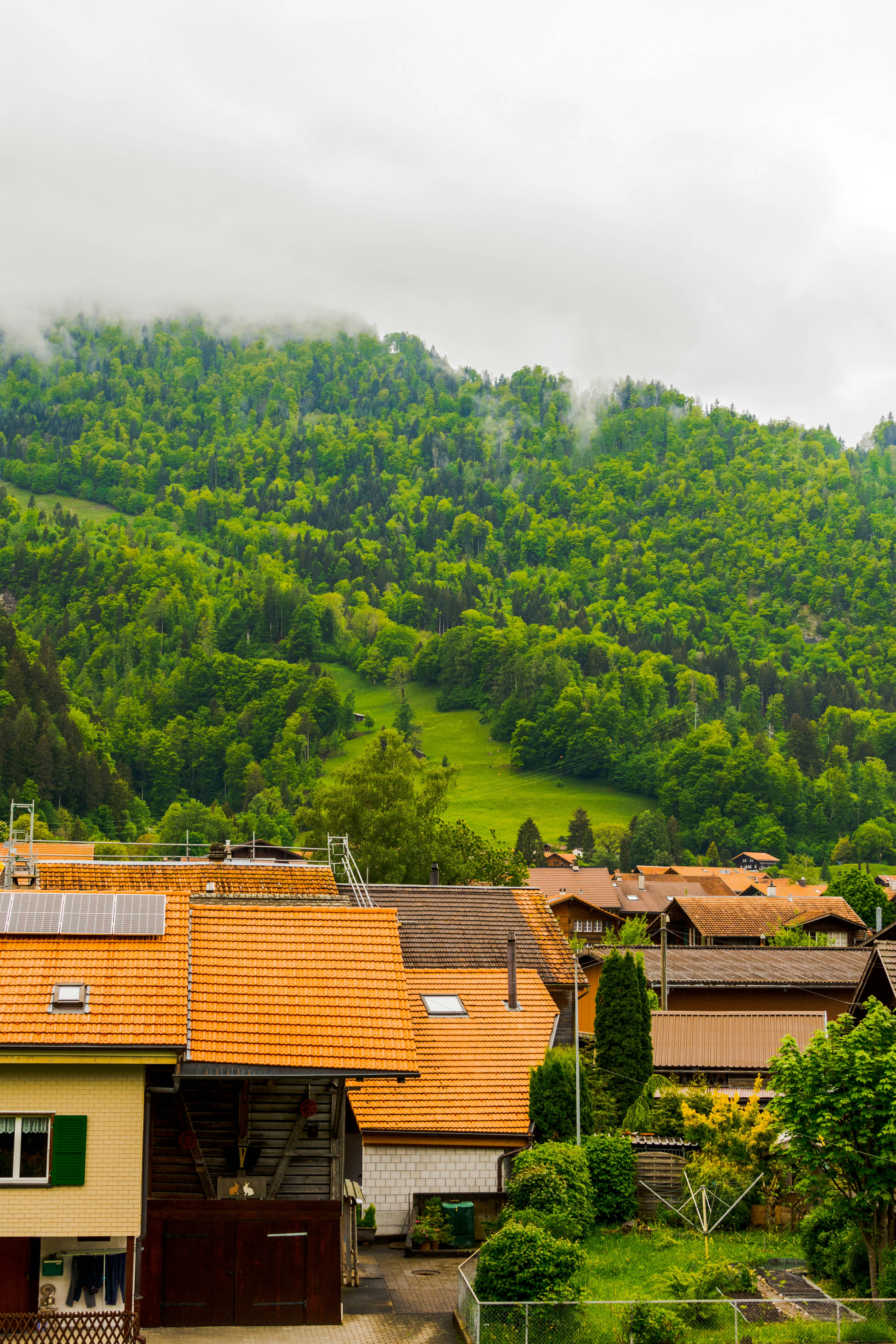 Photo by austris_a