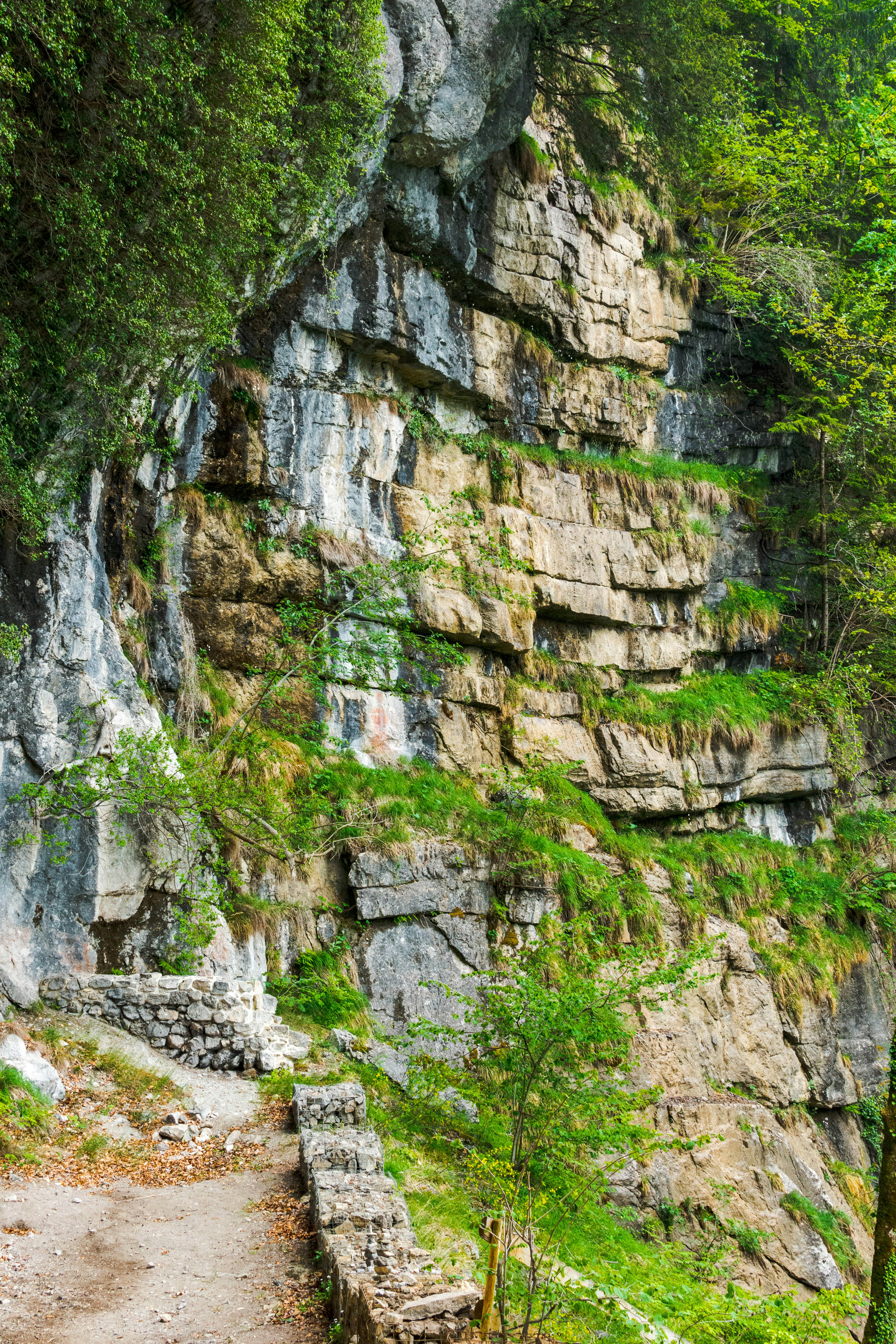 Rocky cliffside with lush vegetation.