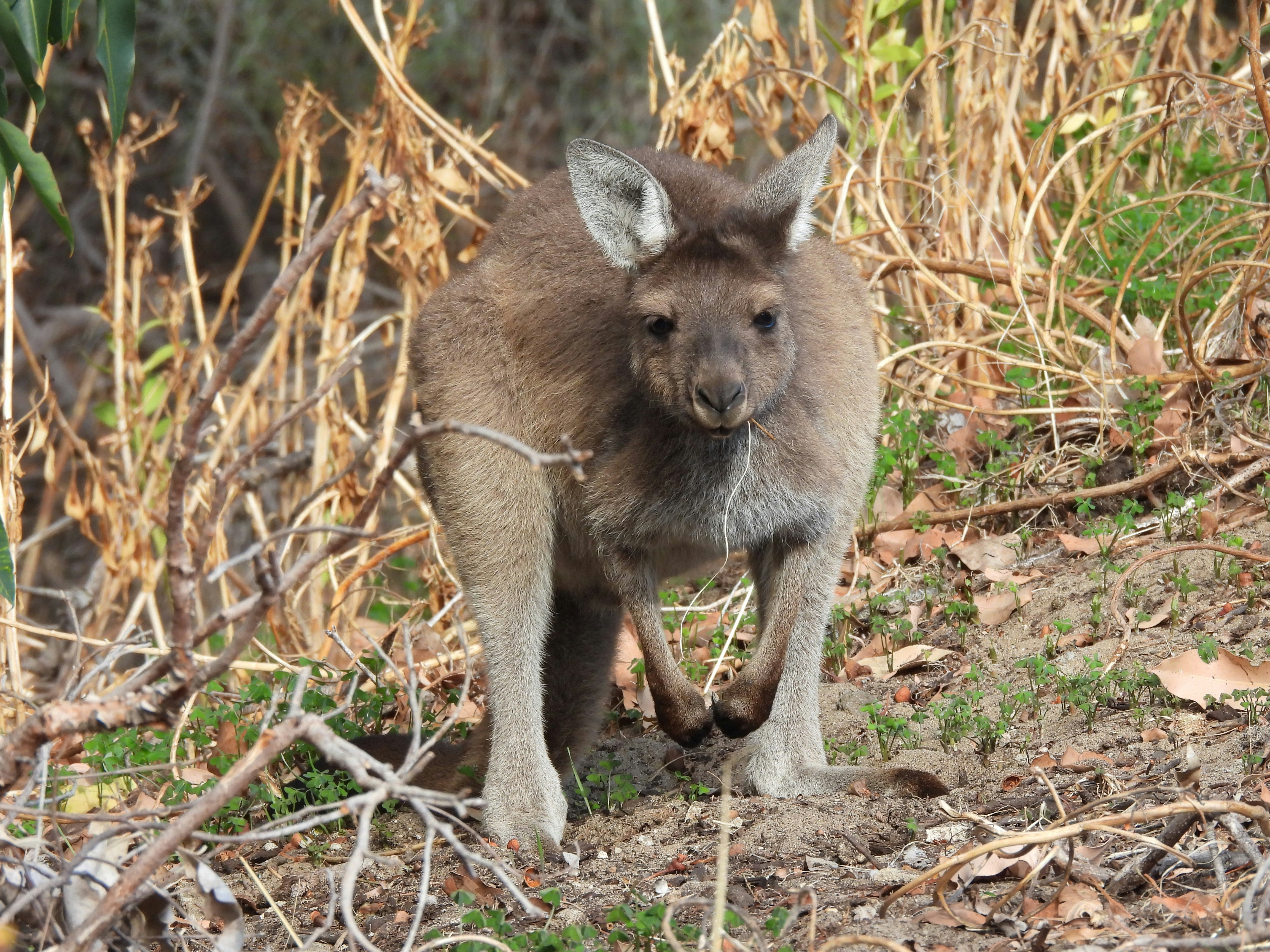 Photo by kaartjeruig