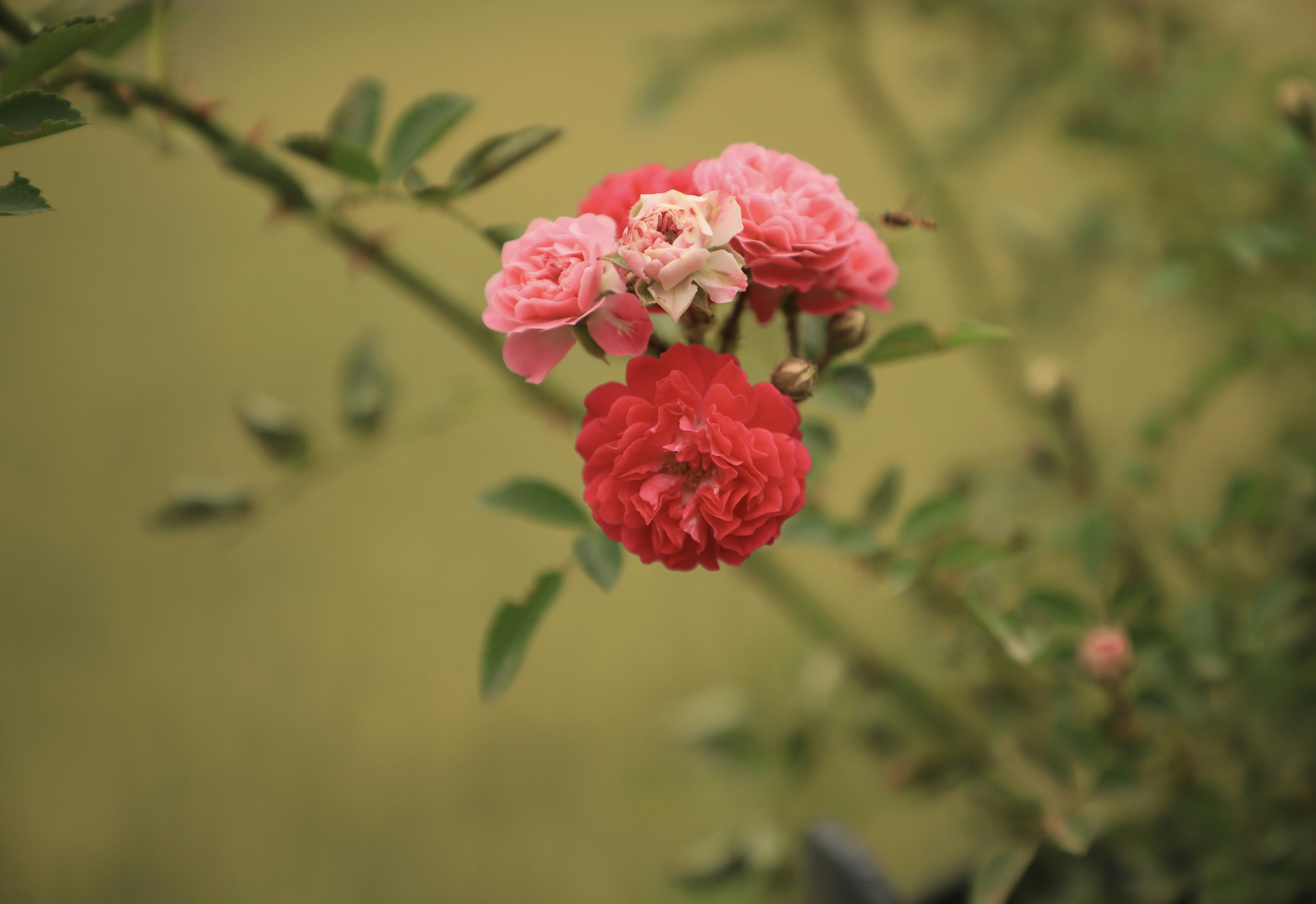 Photo by galaxyhunter