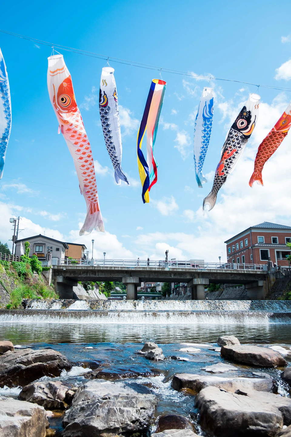 Colourful koinobori carp streamers floating above a Japanese river in May for Children's Day
