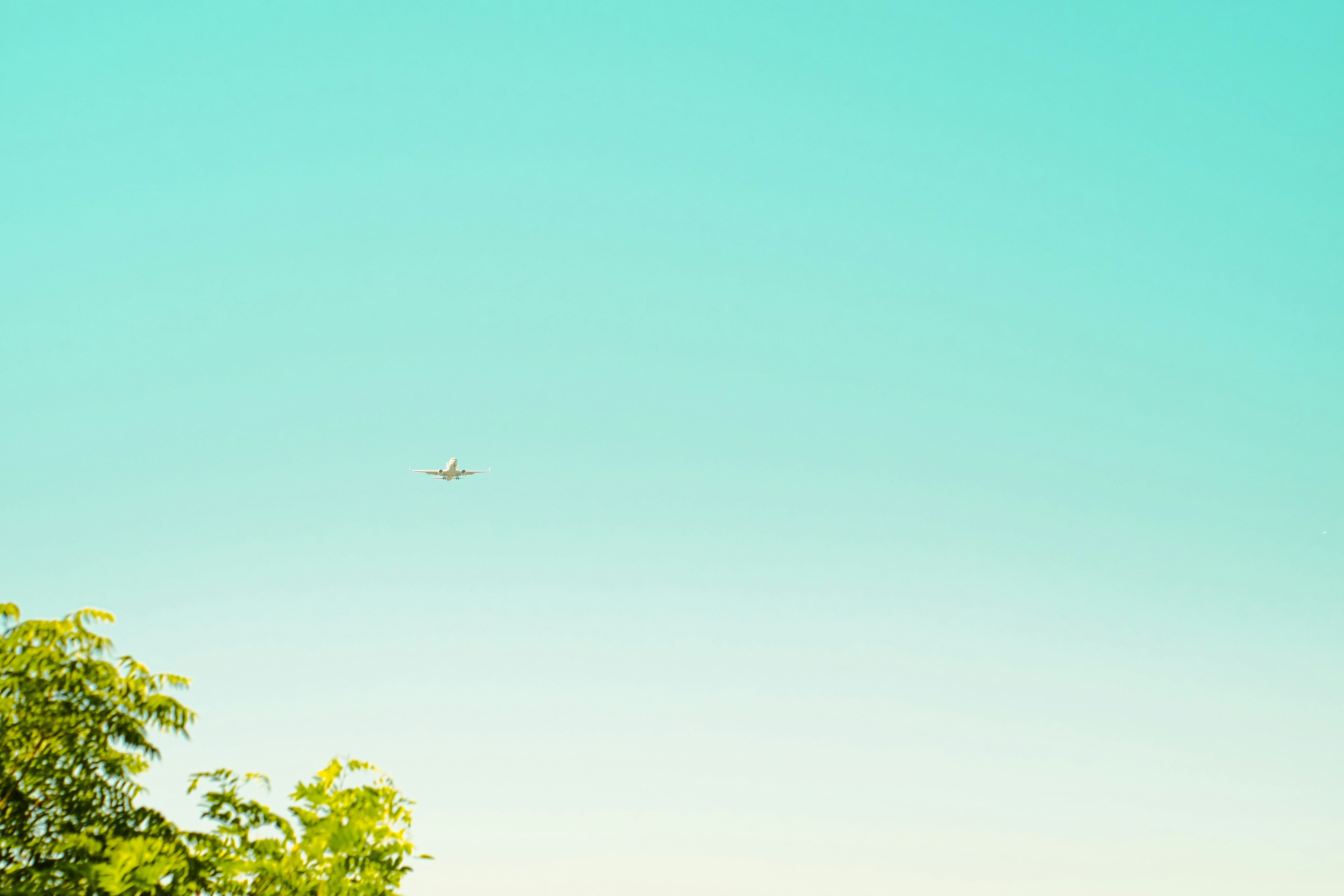 An airplane flies in a clear, blue sky.