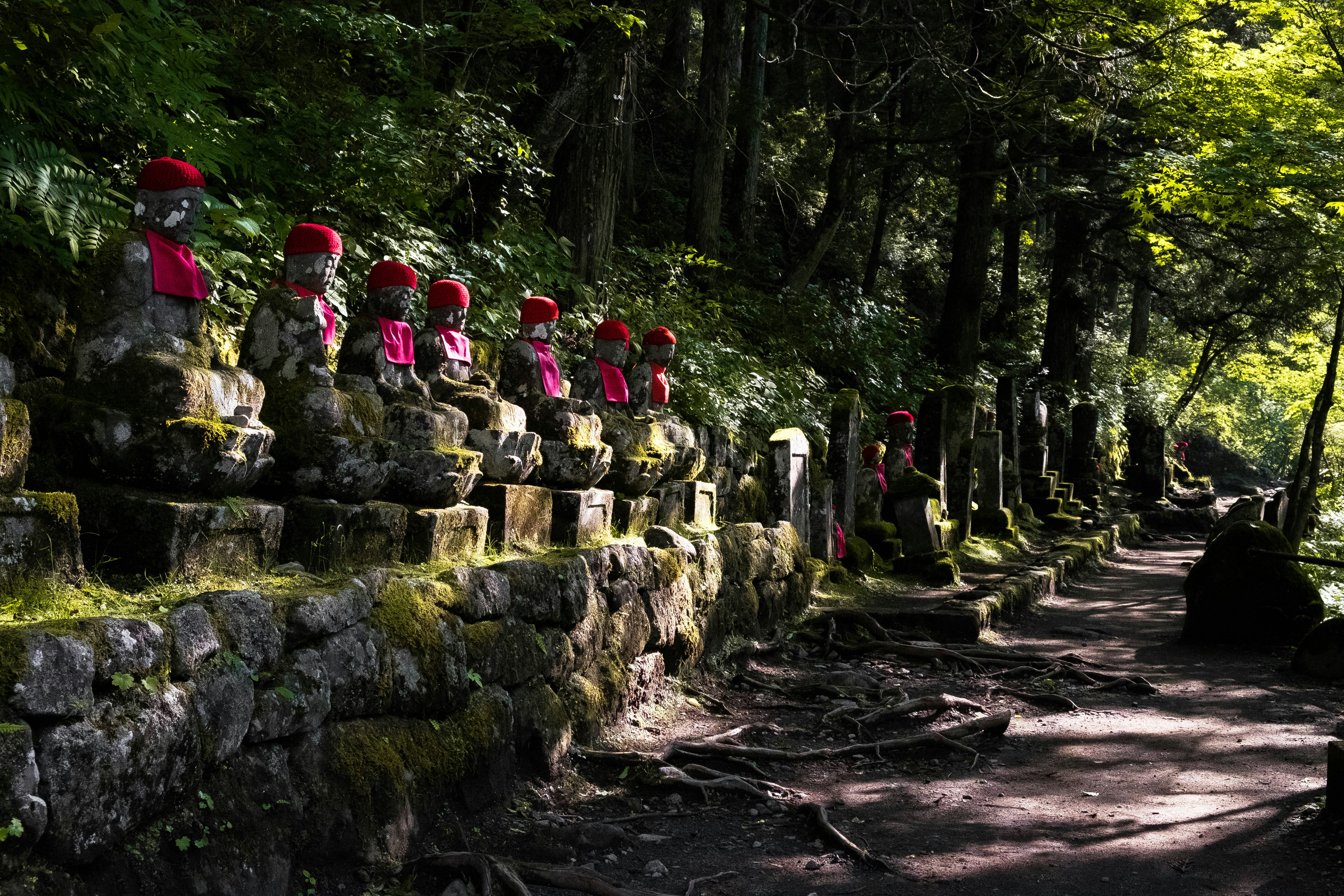 Row of jizo statues lines a forest path.