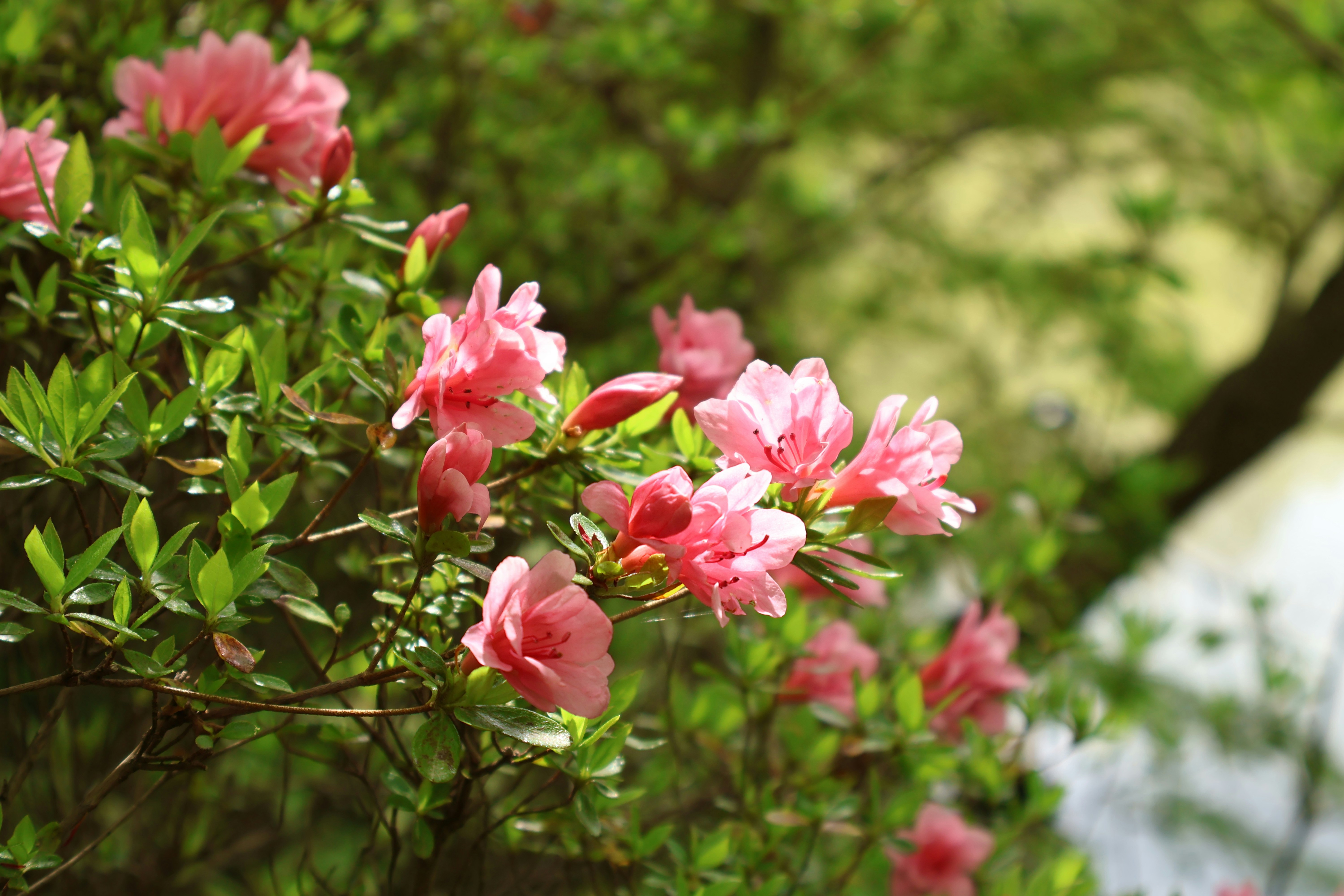 Photo by vickeekiwiwow