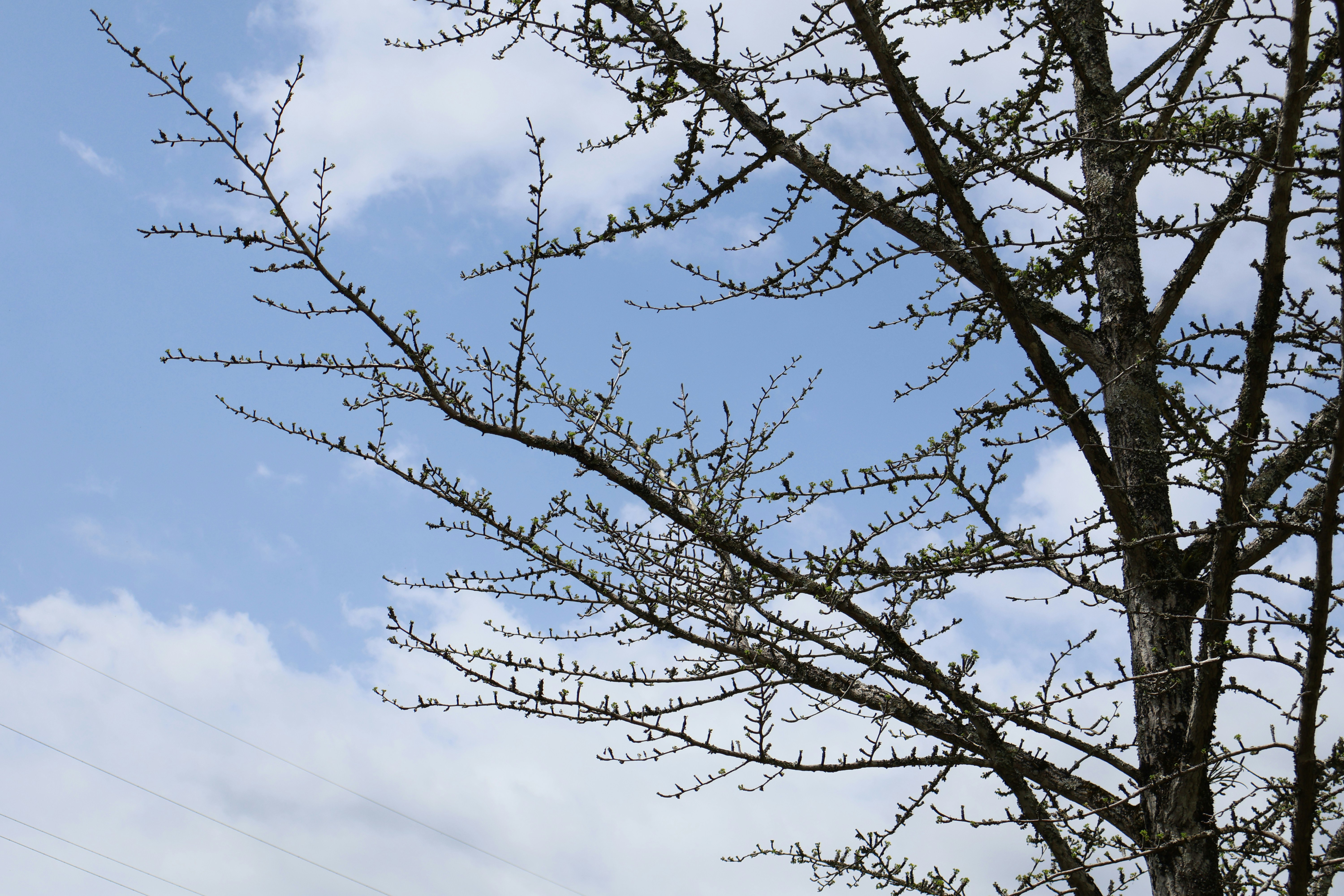 Photo by vickeekiwiwow