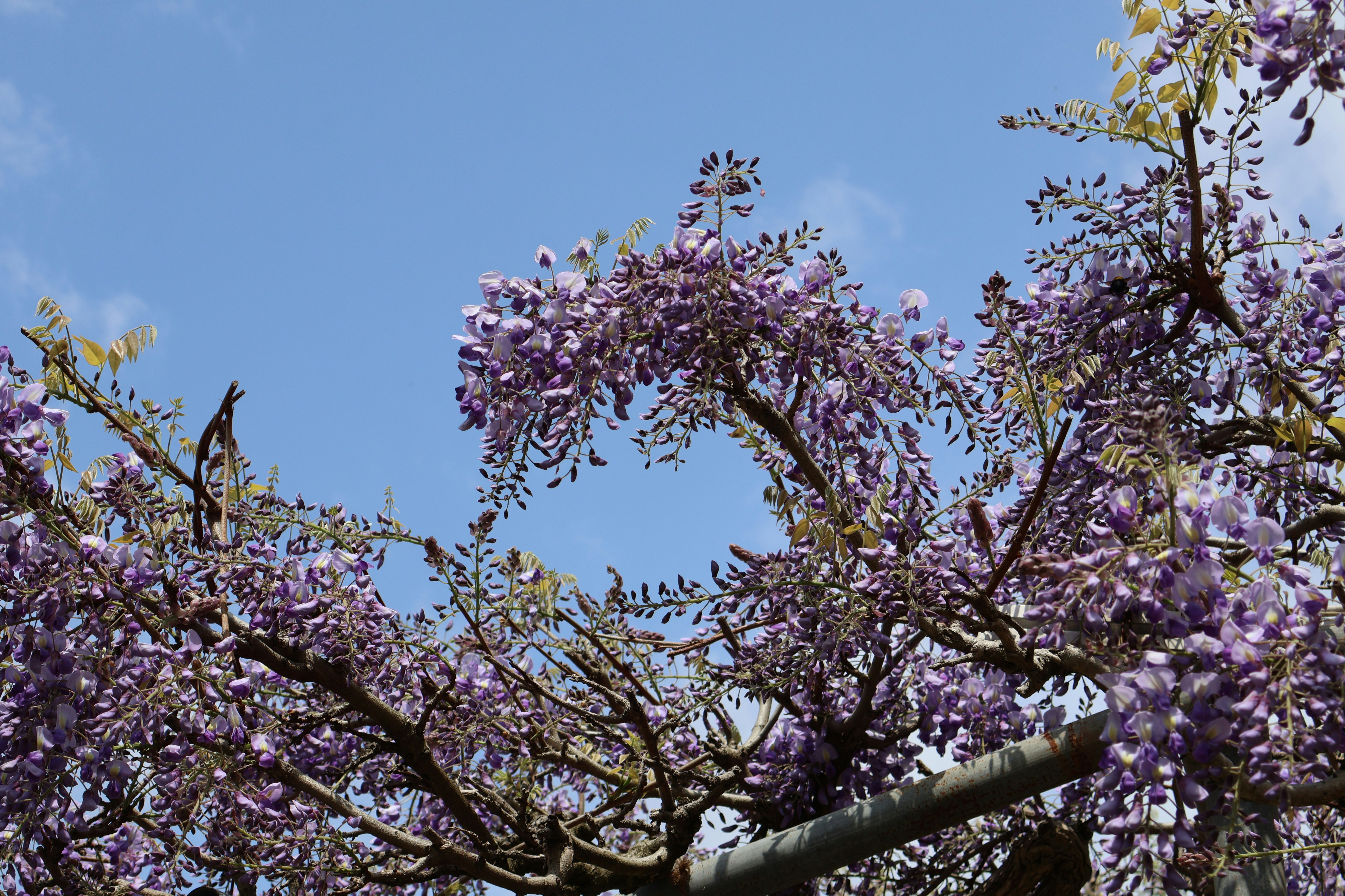 Photo by vickeekiwiwow