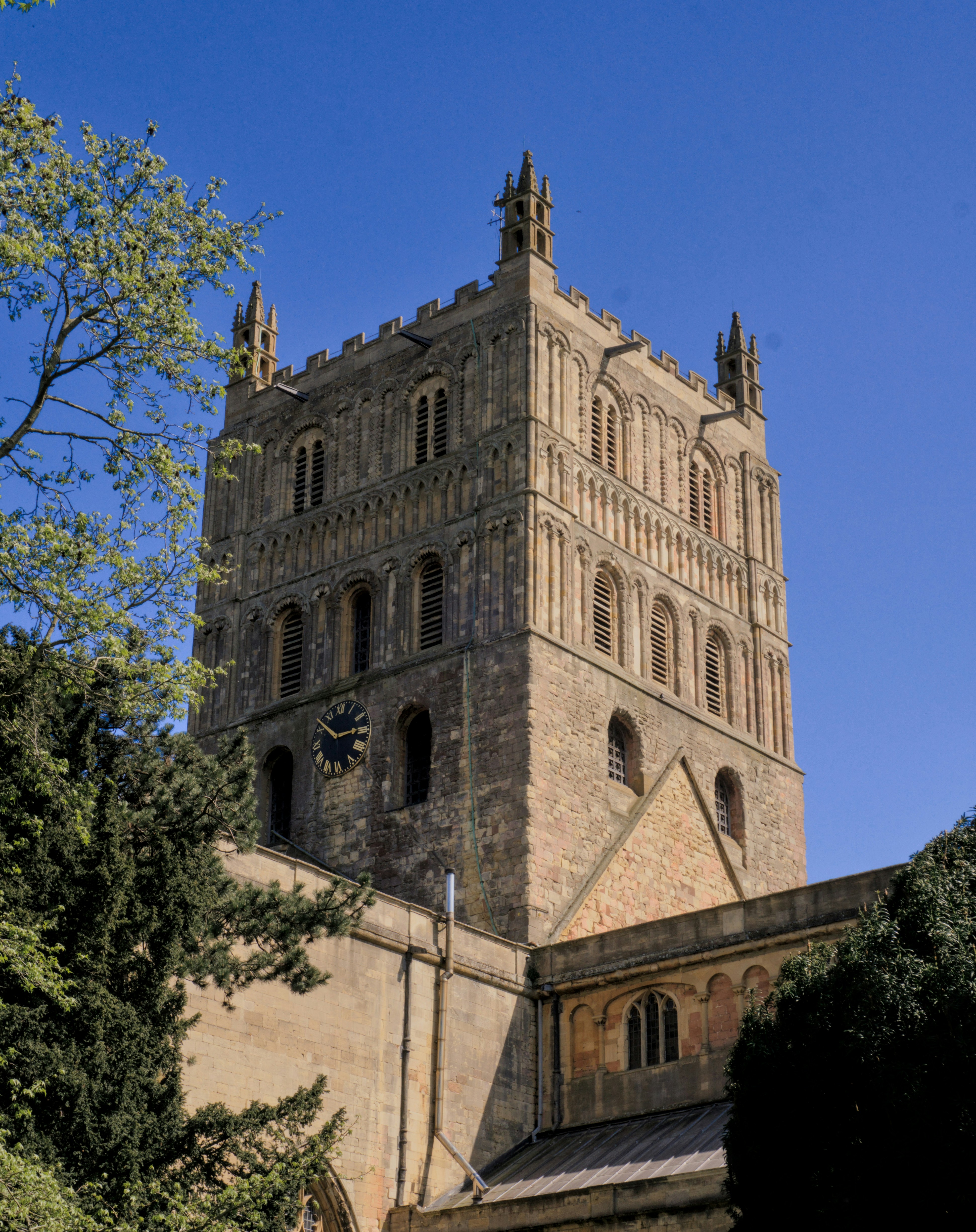 Photo by dotdavisphotography