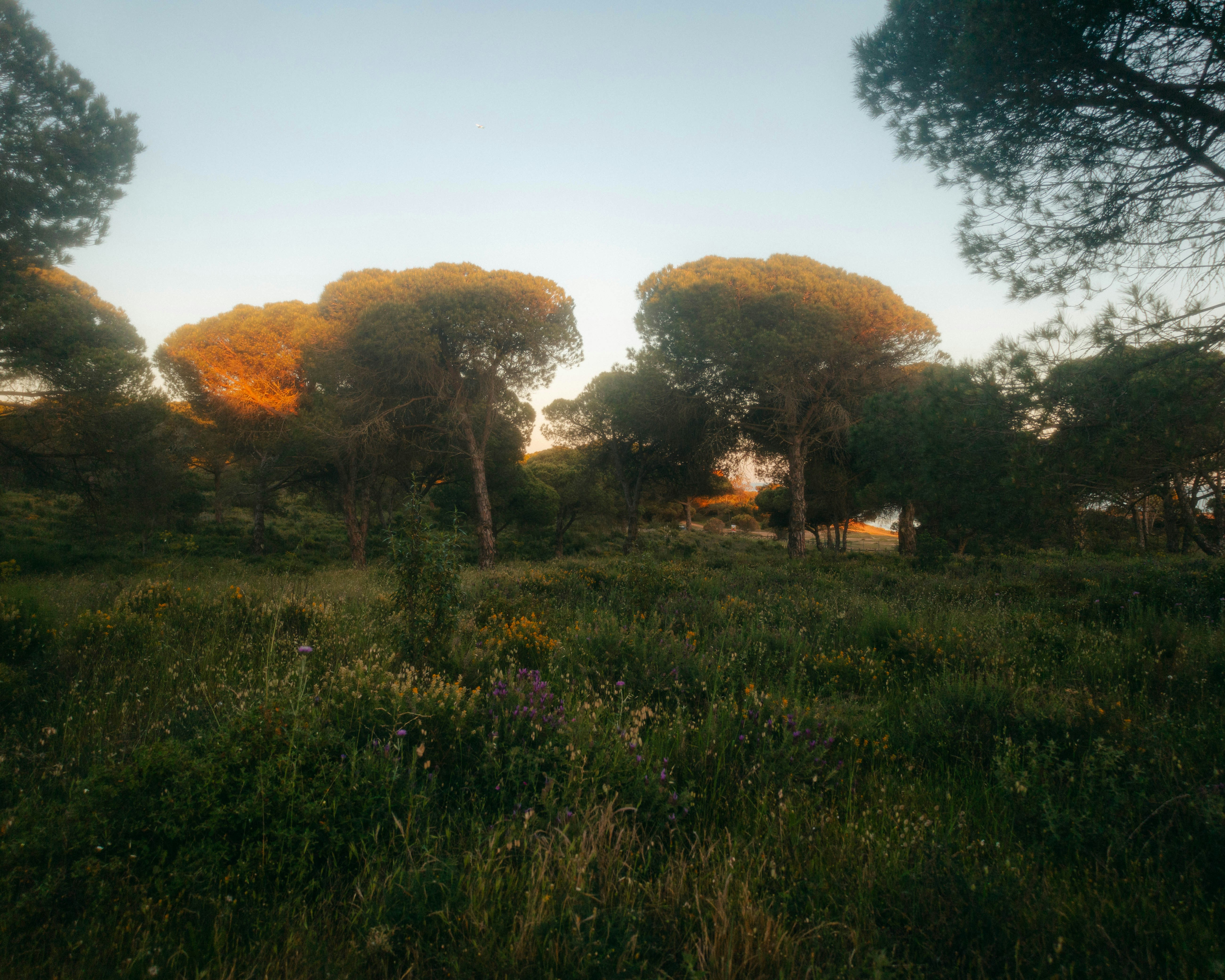 Photo by marianacbras