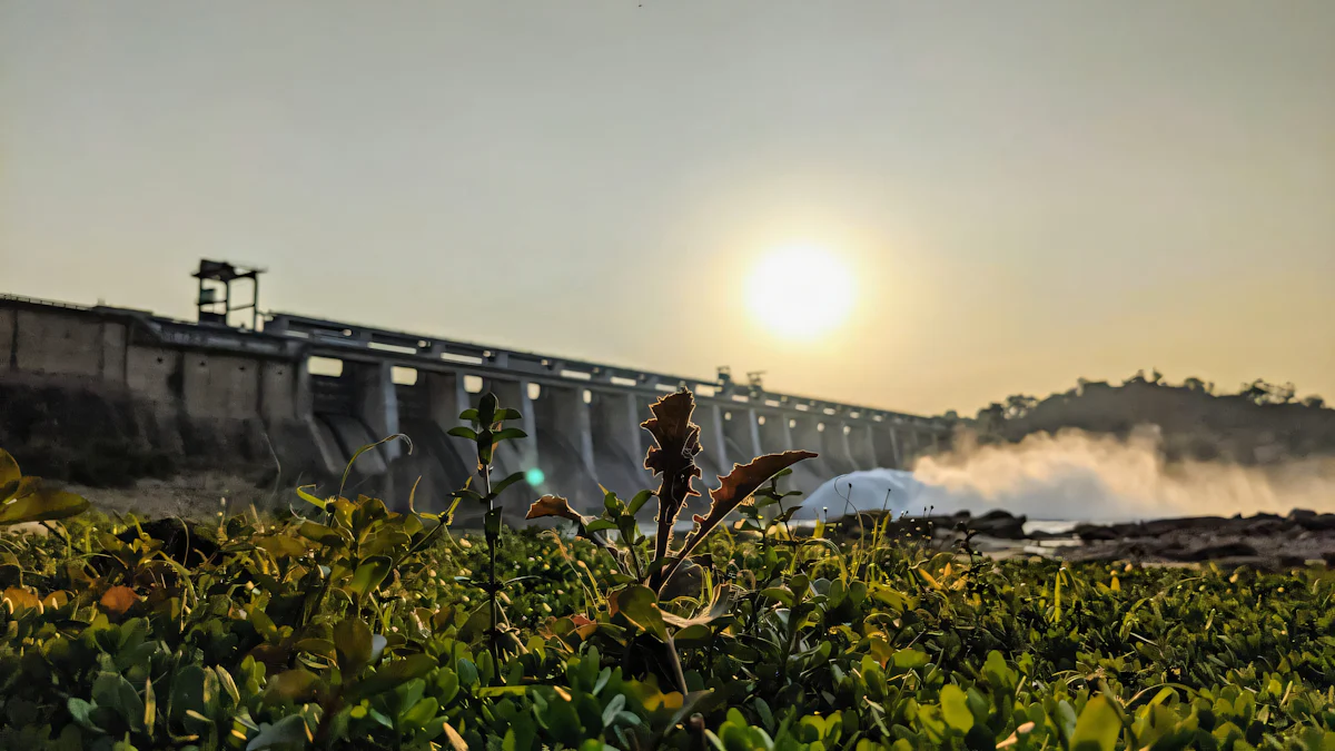 Sardar Sarovar Dam