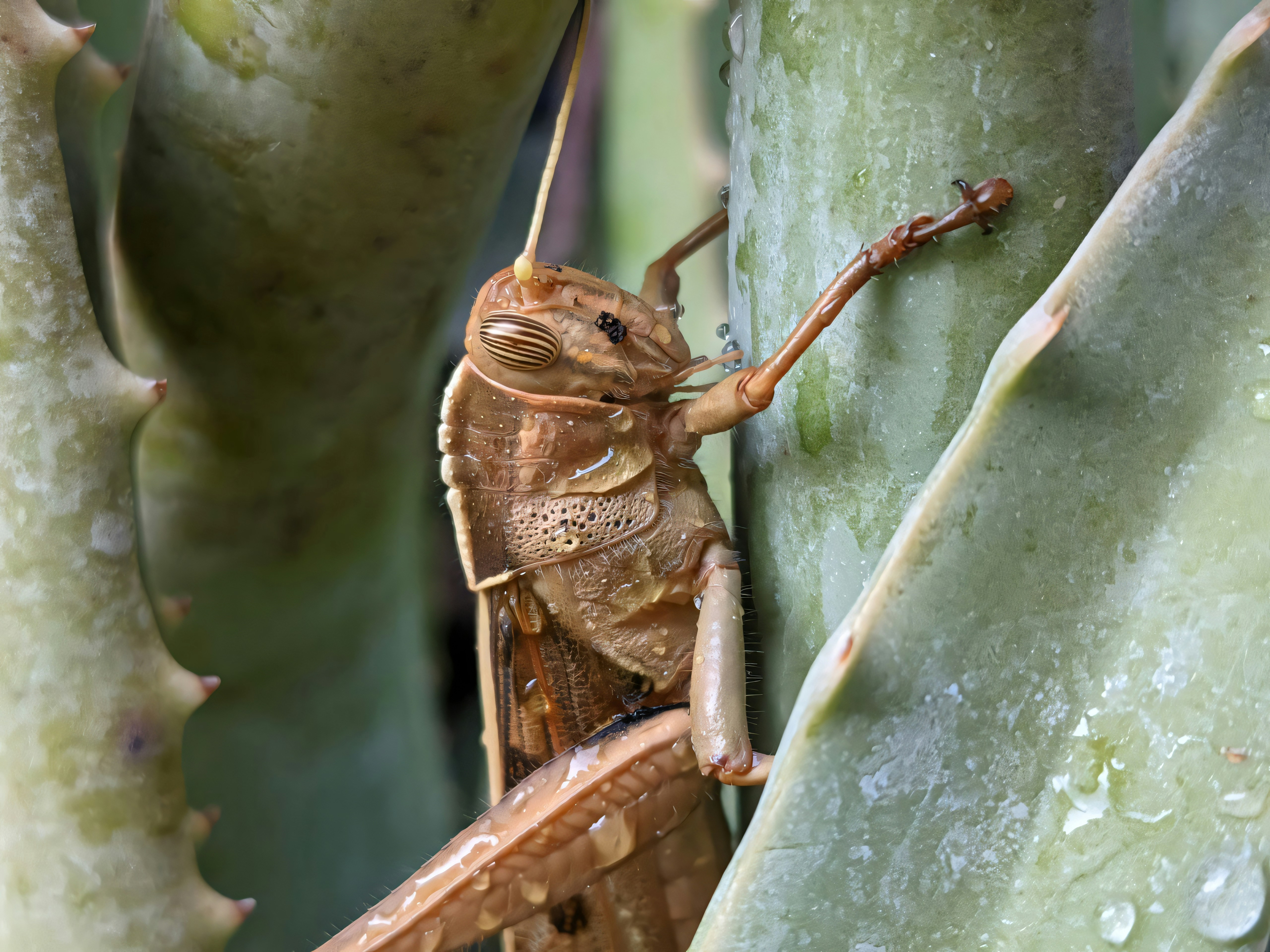Photo by gopinath12