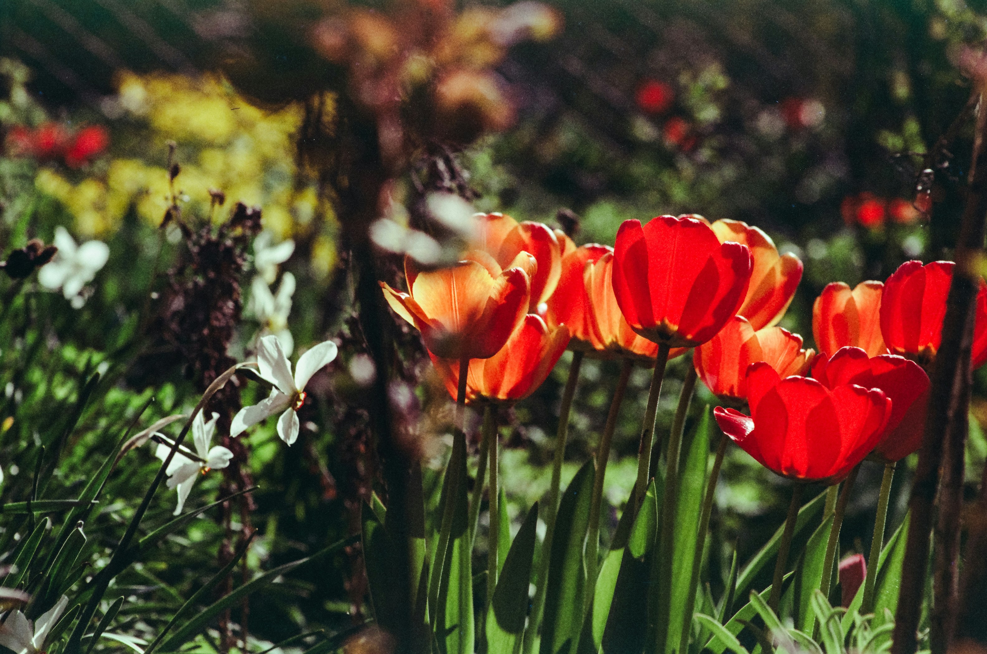 Photo by mineral_of_demon