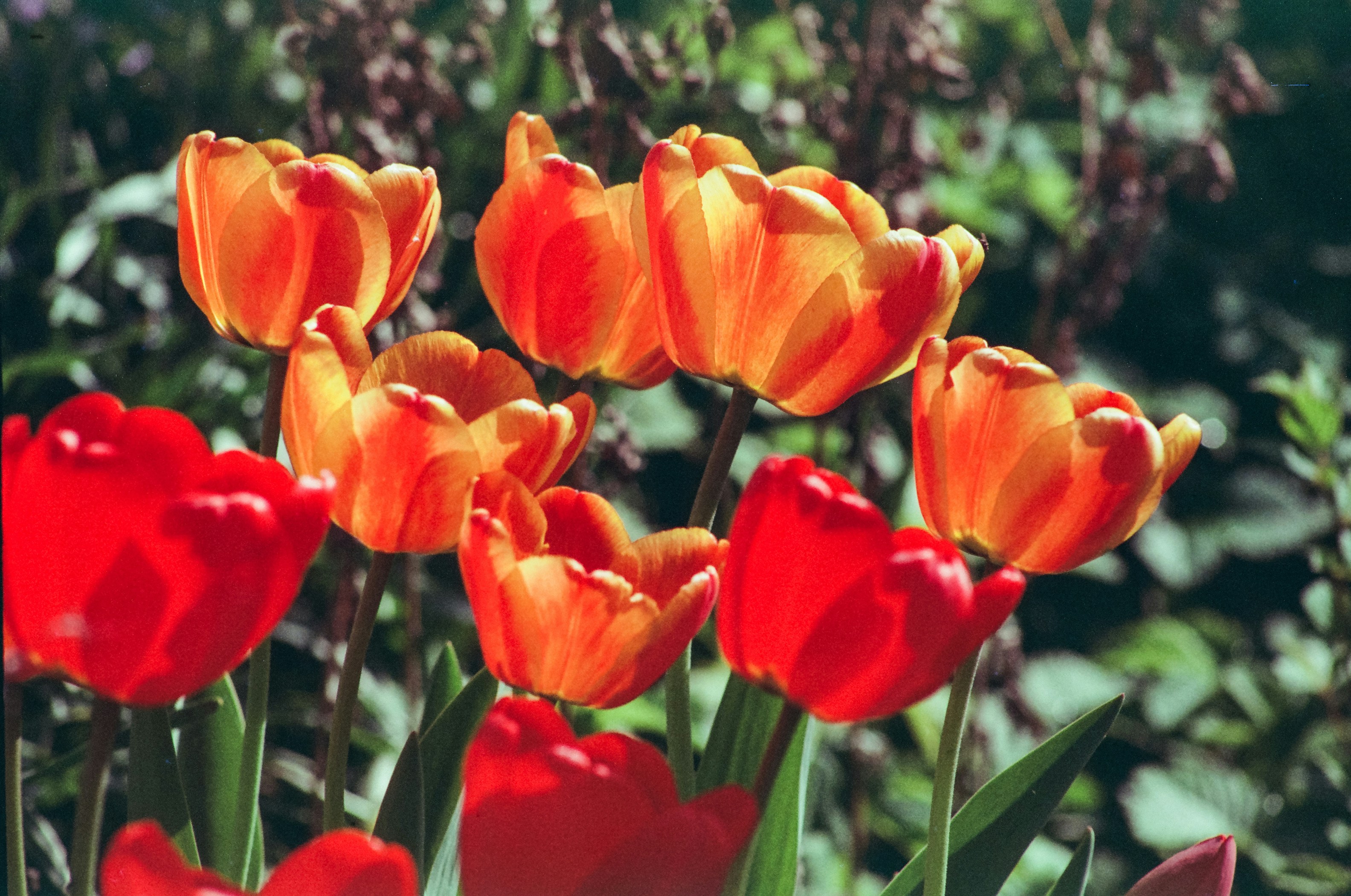 Photo by mineral_of_demon