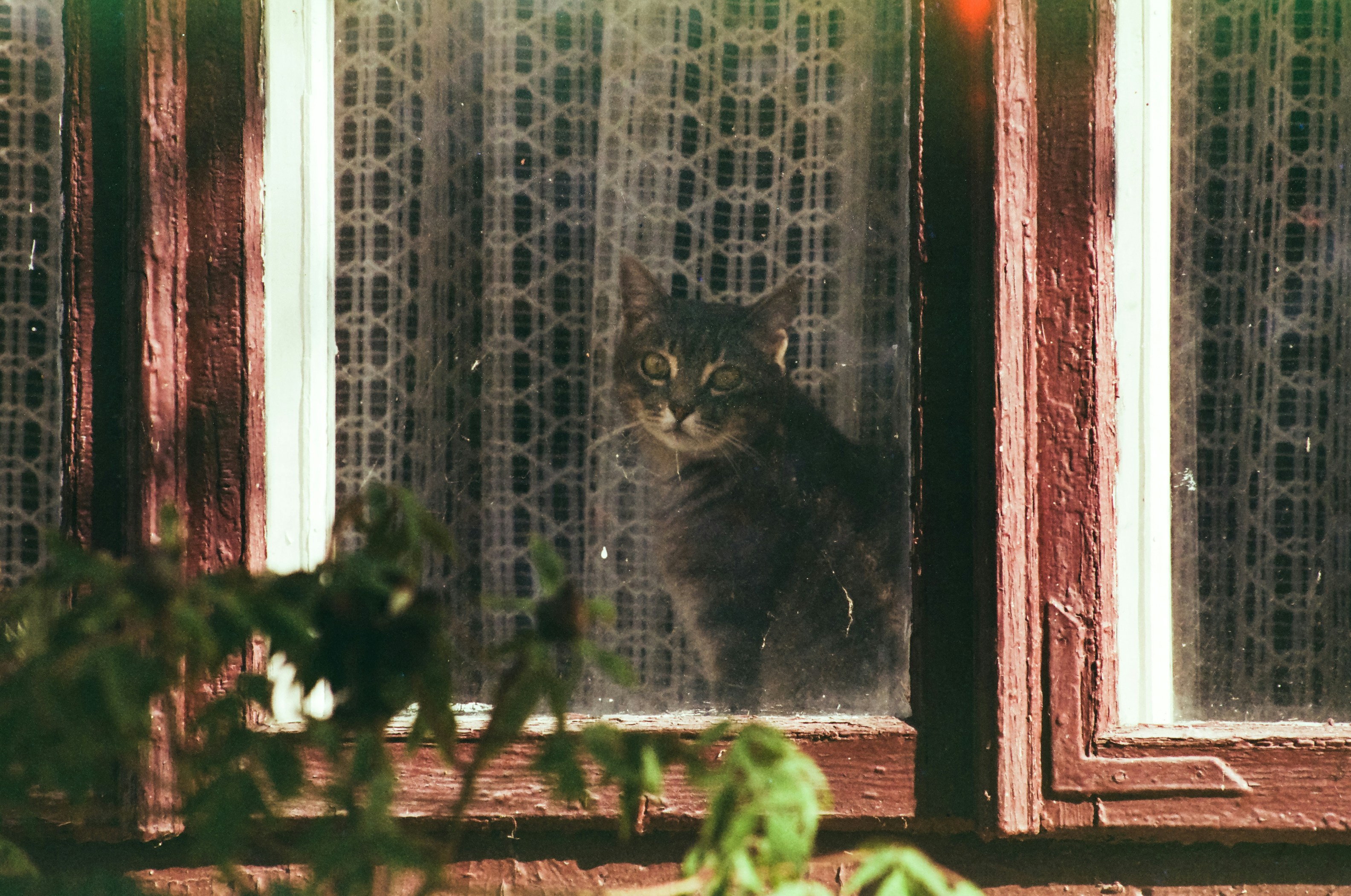 Photo by mineral_of_demon