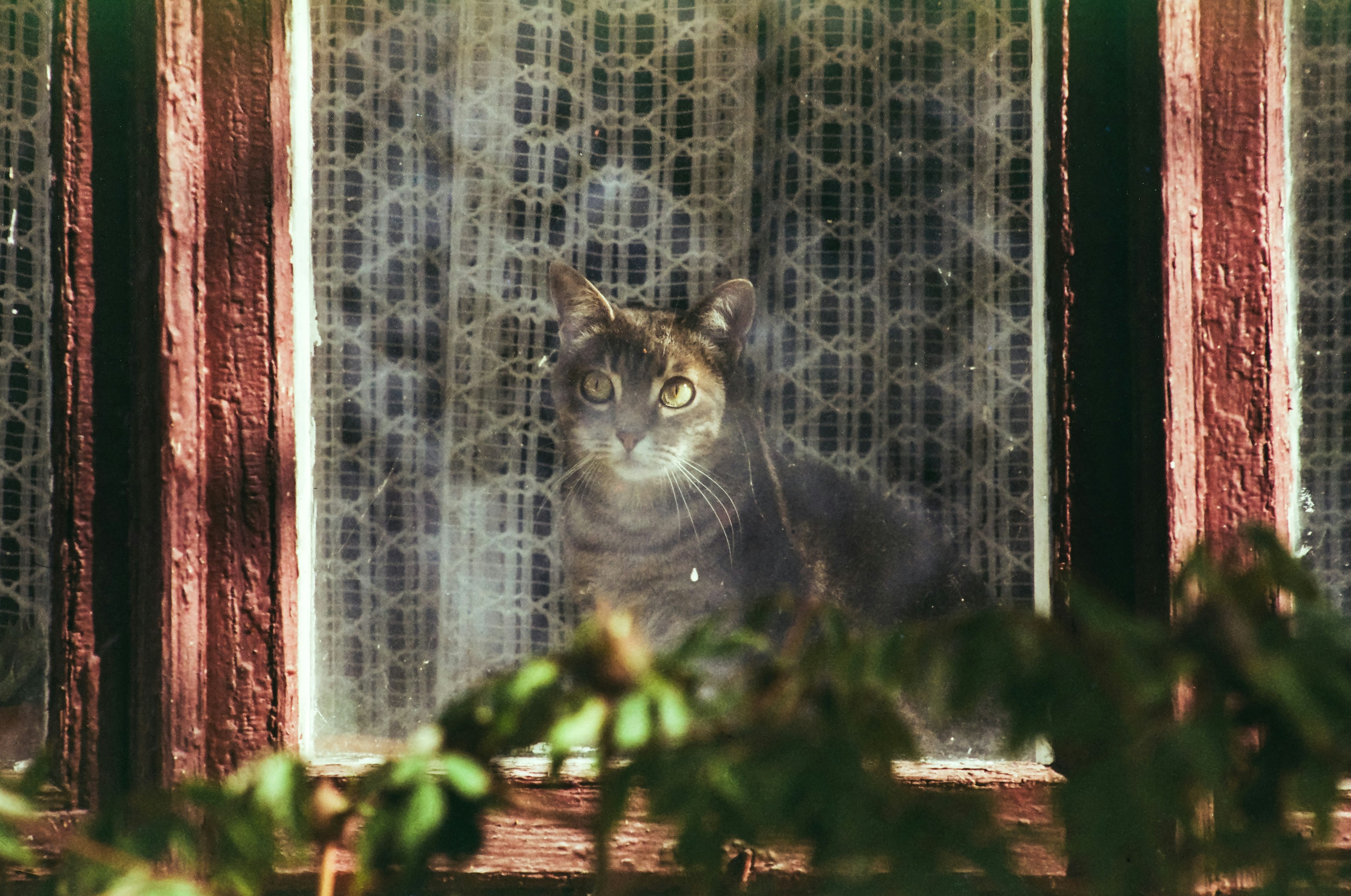 Photo by mineral_of_demon